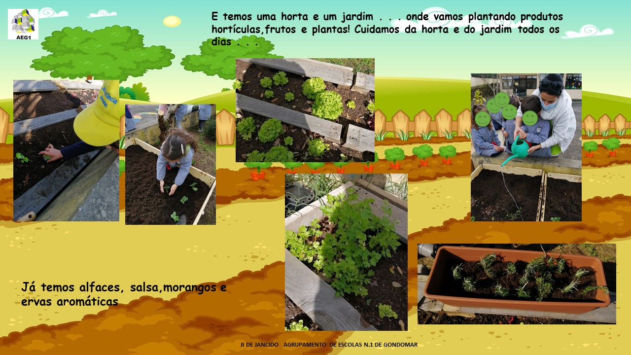 Plantação de morangos,salsa,e ervas aromaticas.(transportamos a nossa horta para o jardim)