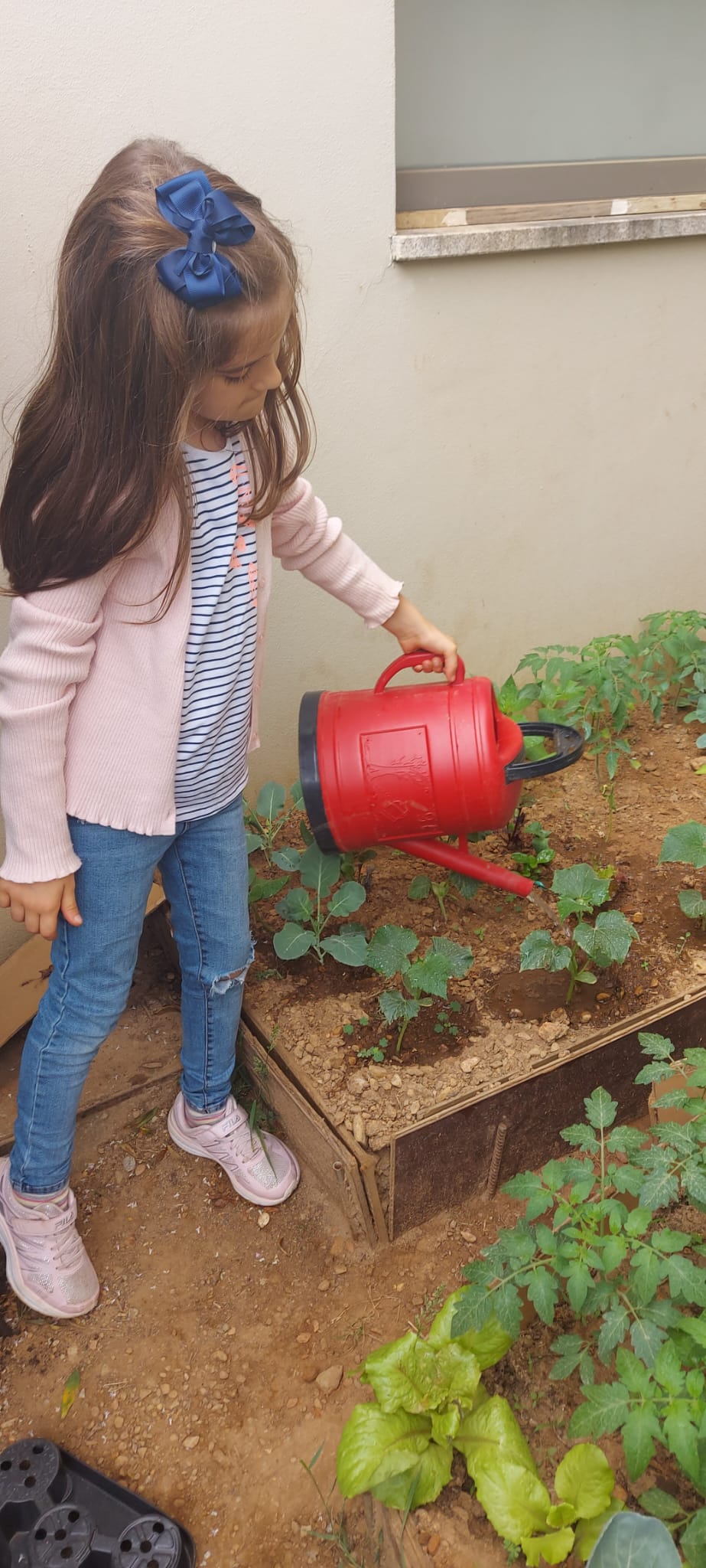 Tratamento da horta