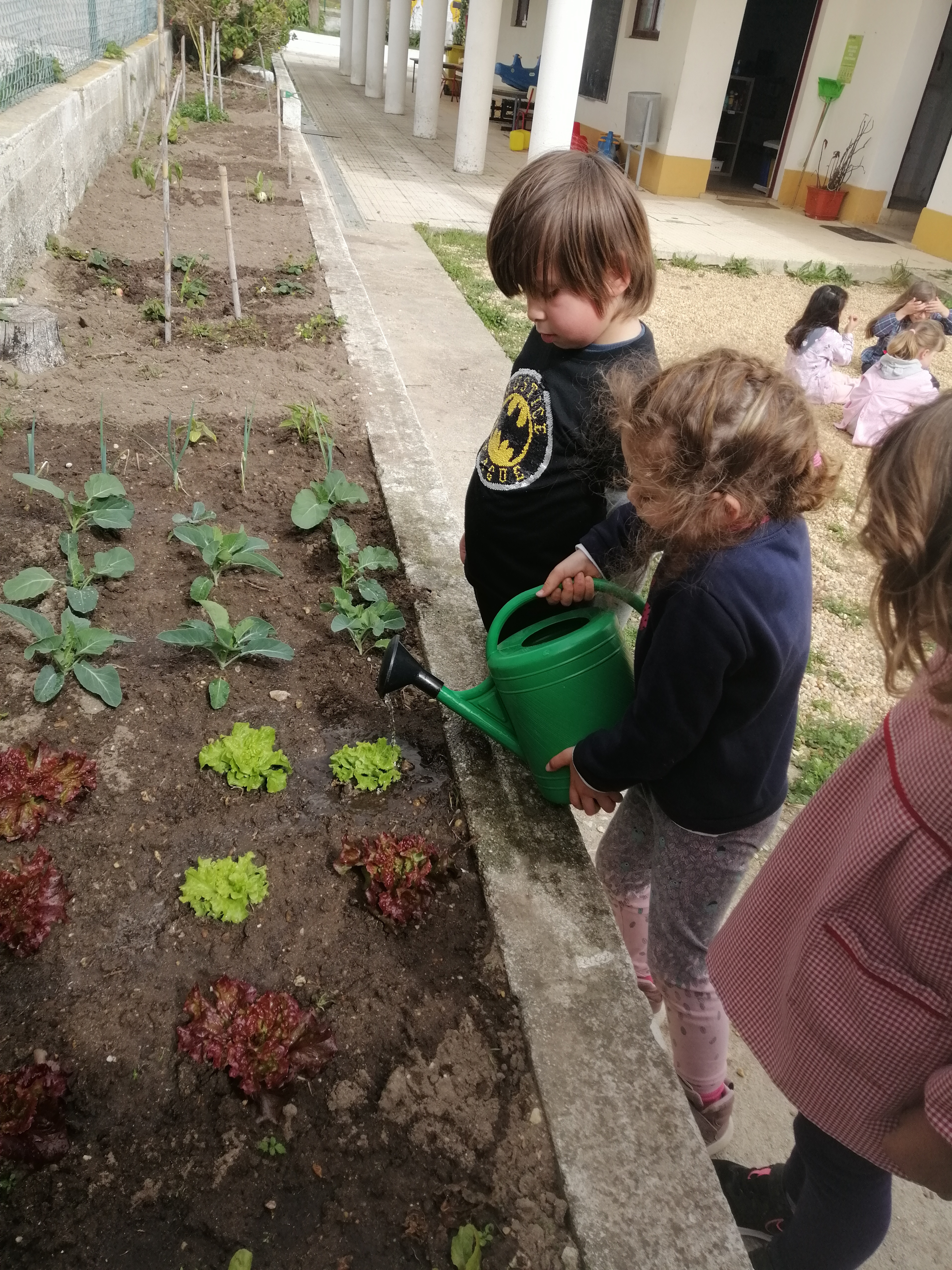 A regar a horta