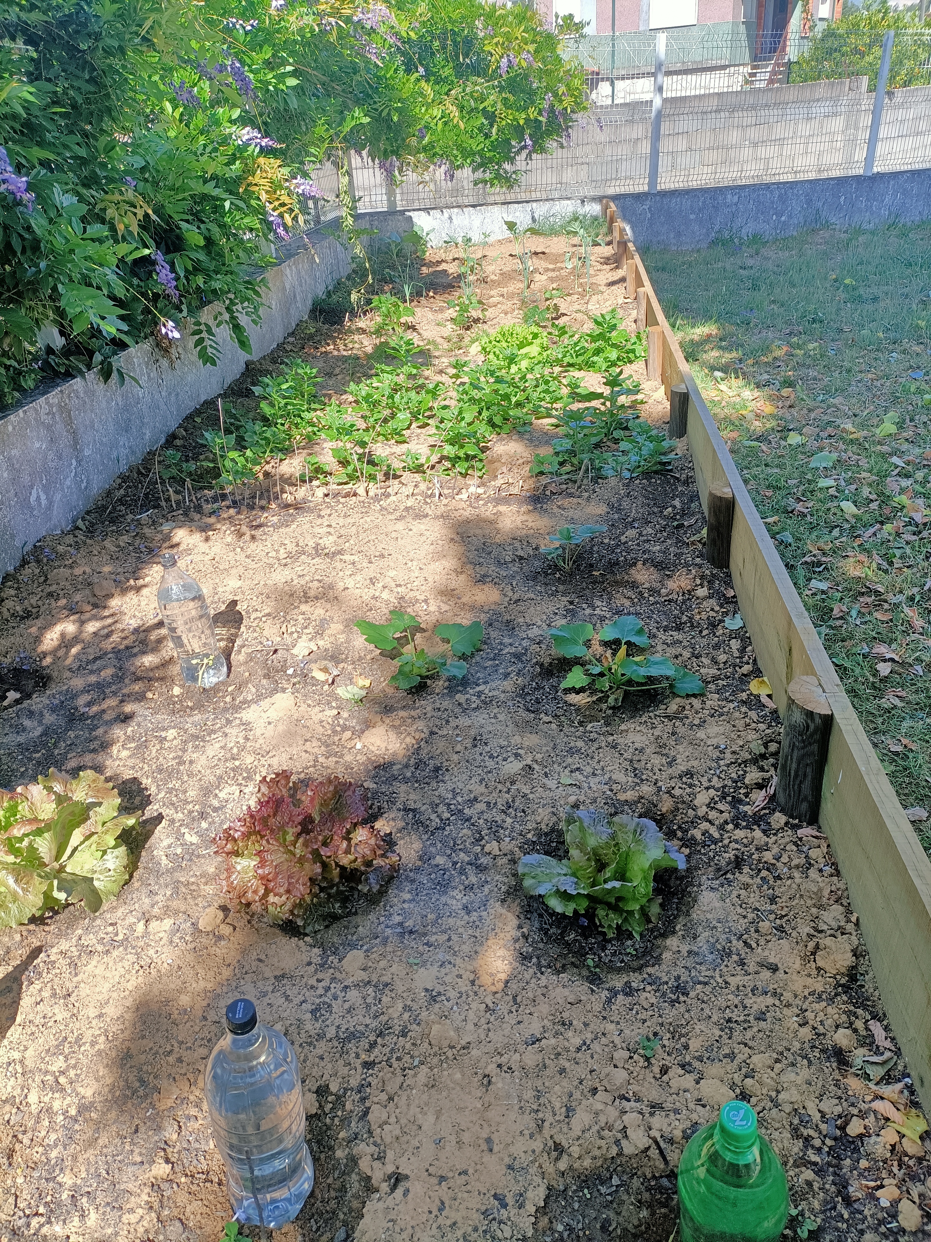 Horta final de março/princípio de maio