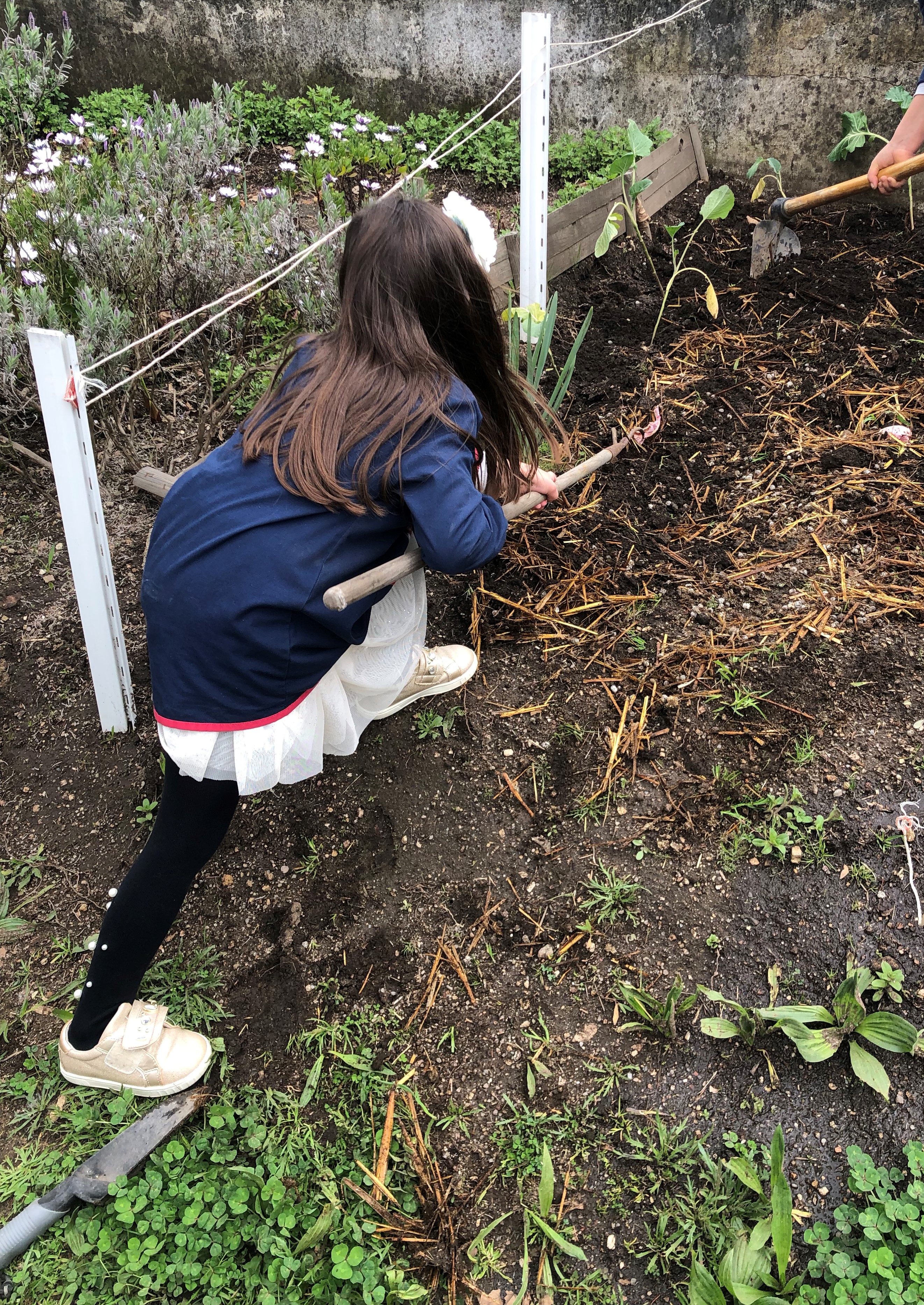 Preparamos a terra para receber as plantas