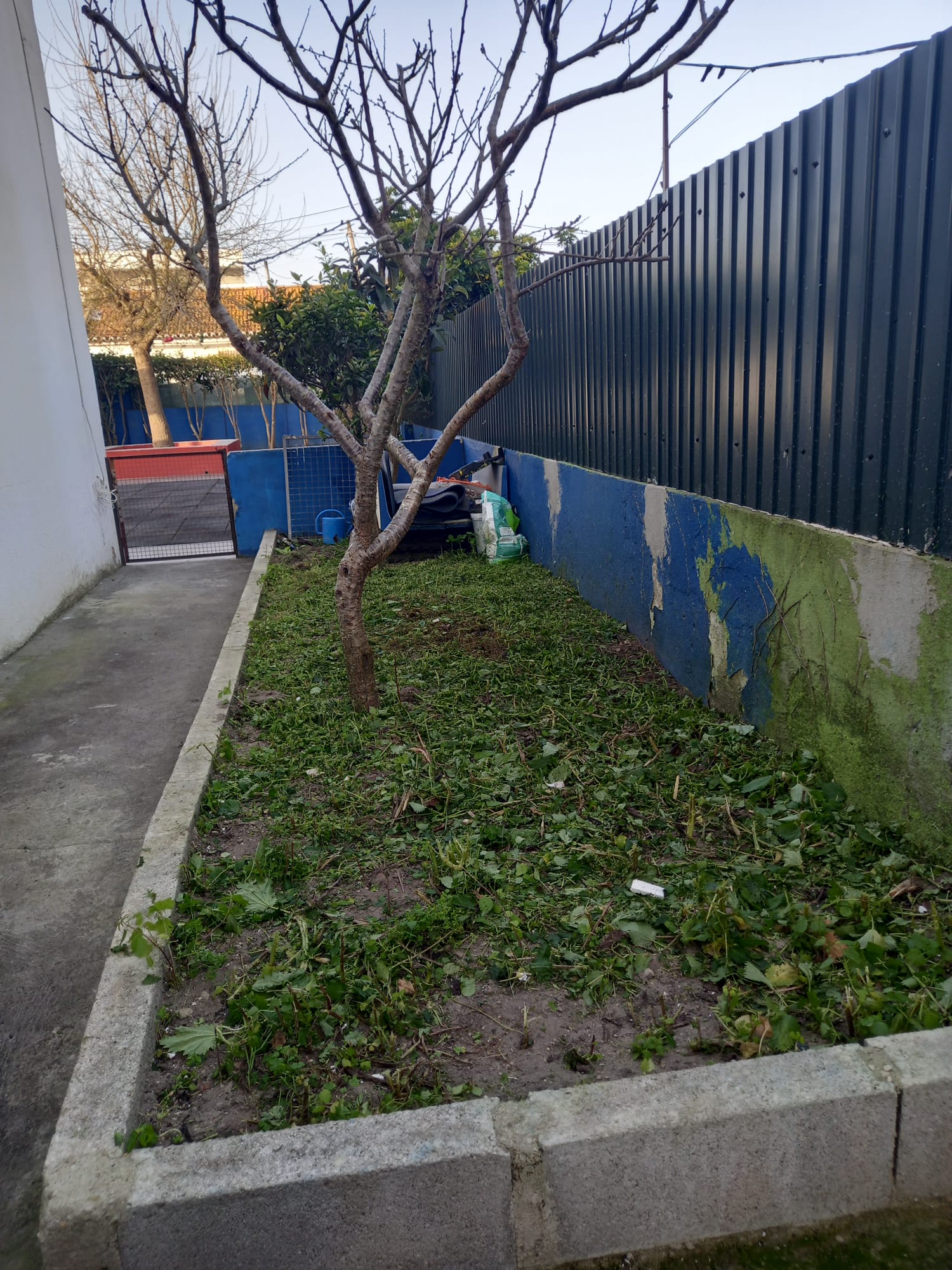 Horta existente (reestruturar)