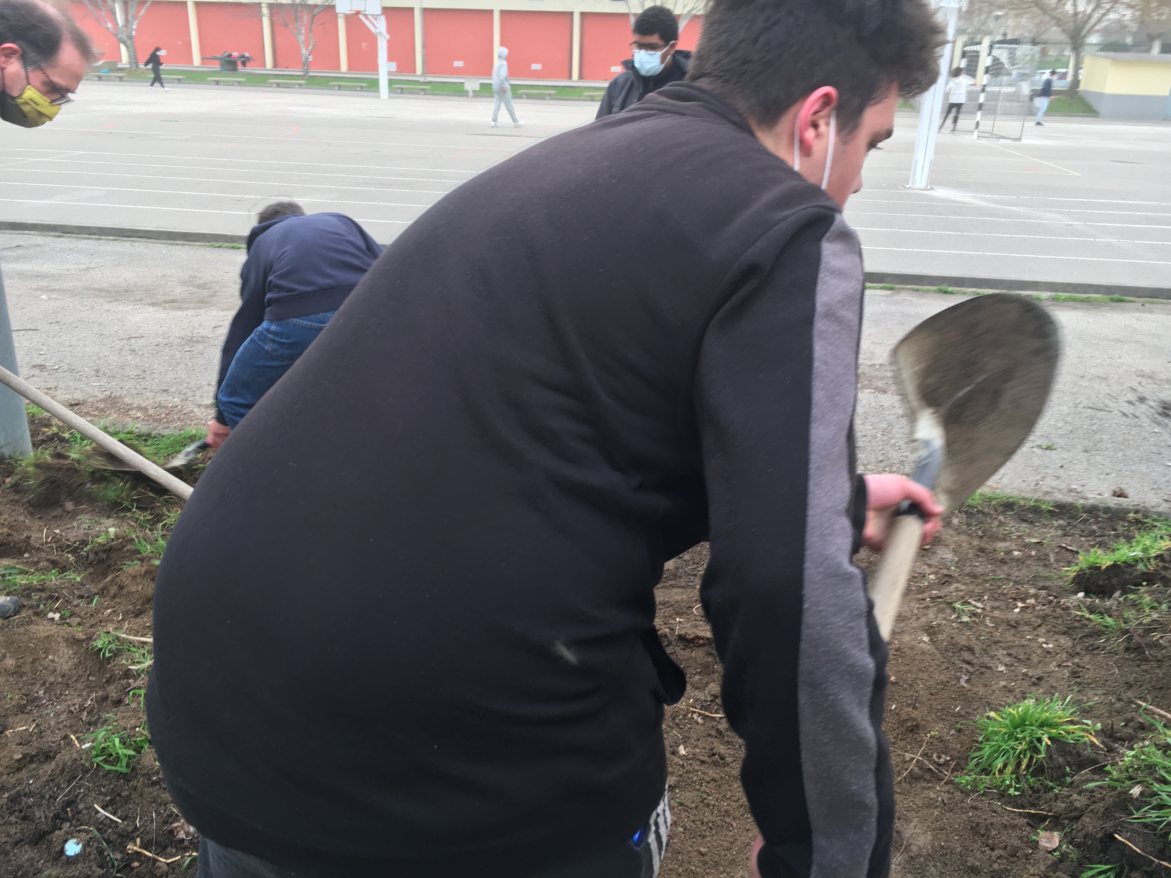 Preparação do terreno para a espiral de aromáticas.3