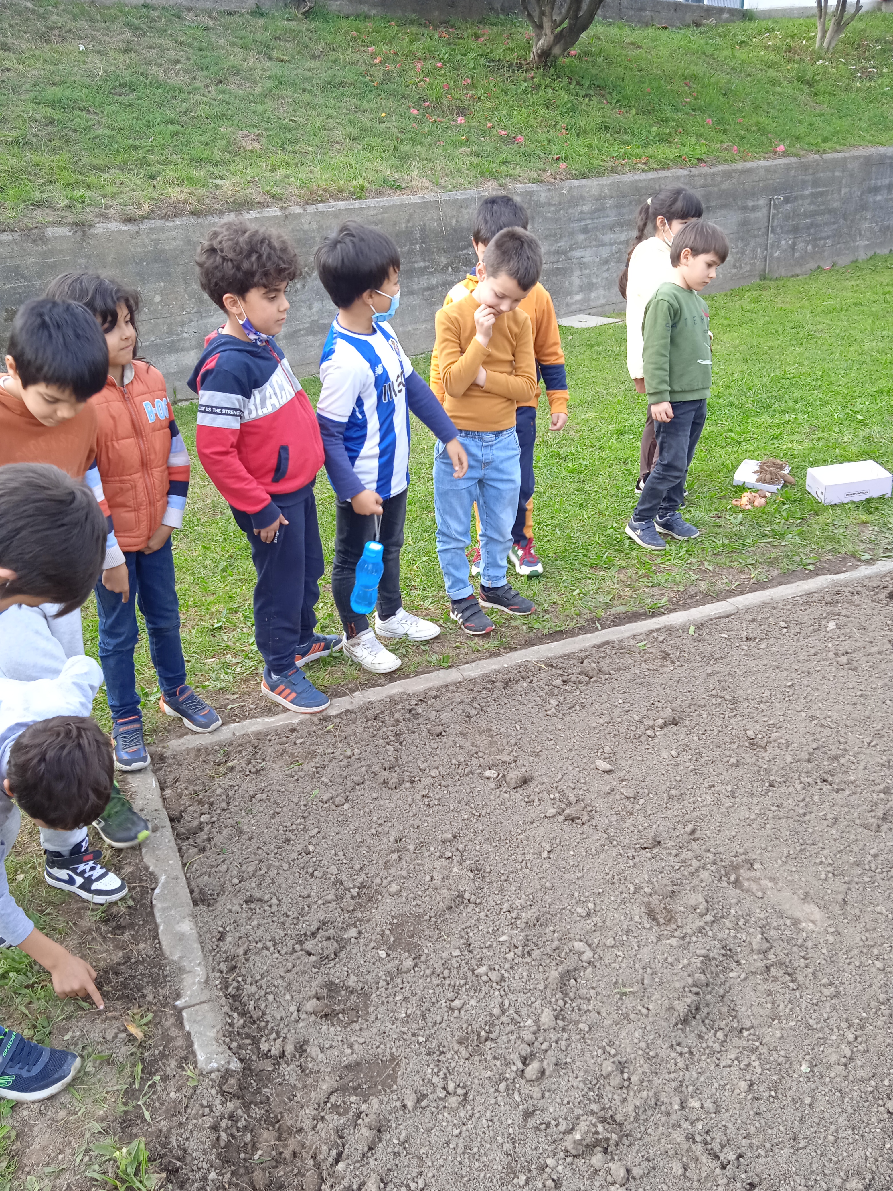 Observação dos alunos na preparação do terreno