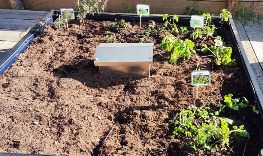Mini horta da turma - cada turma ocupa-se da sua hortinha