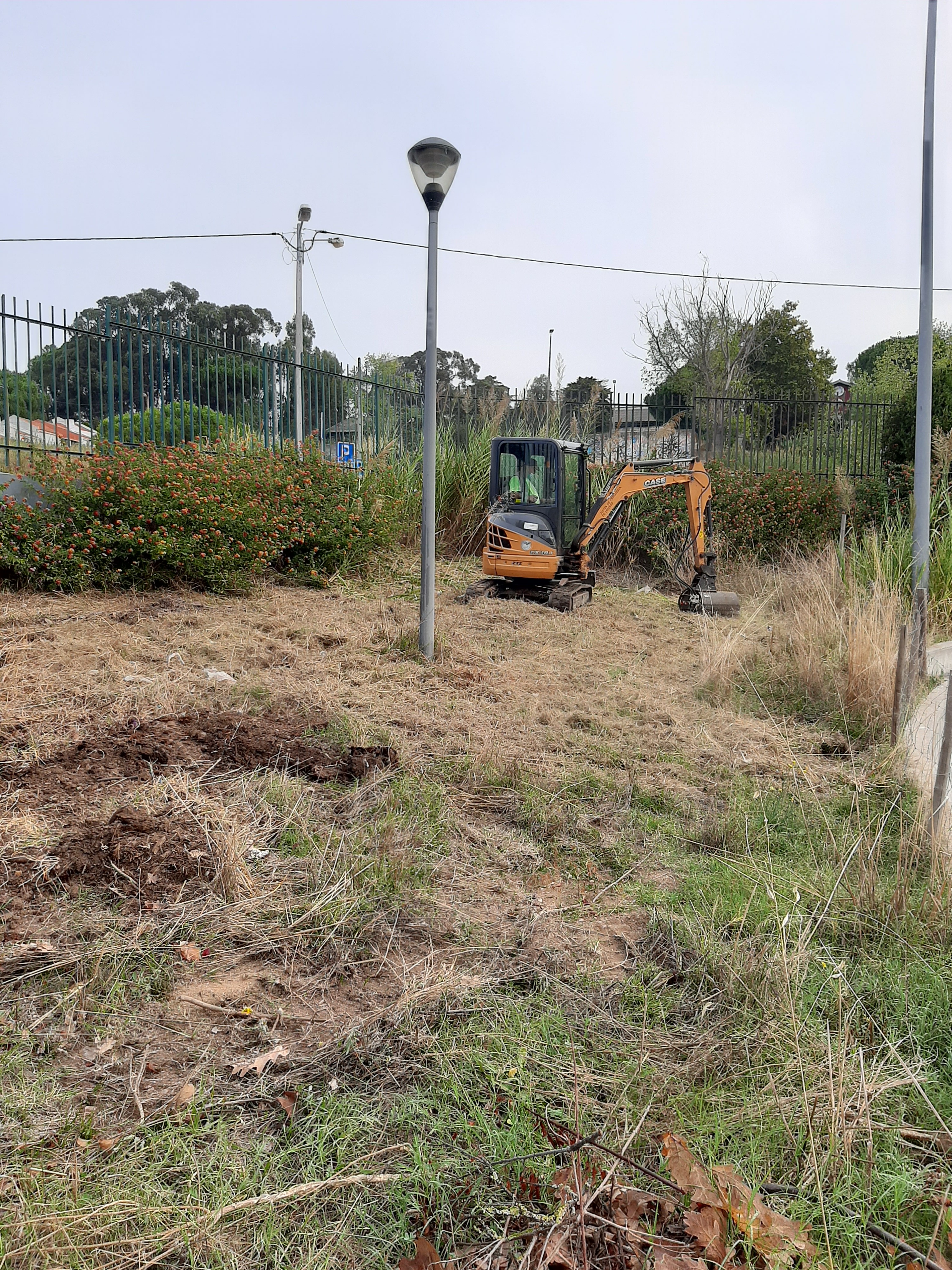Preparação do terreno para plantação do pomar - apoio da Junta de Freguesia de Loures.