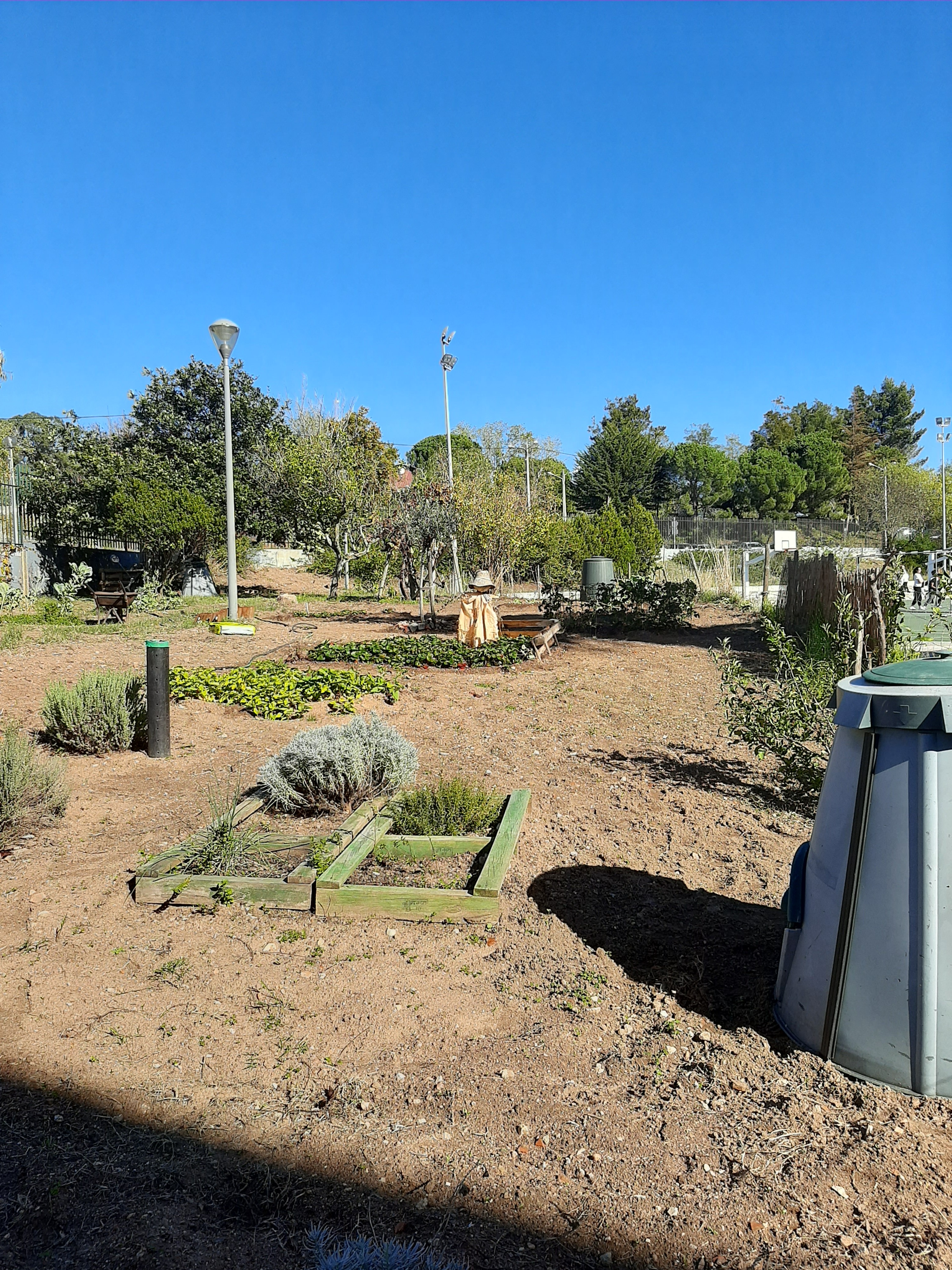 Visão mais geral da horta - 1º plano para a zona de aromáticas.