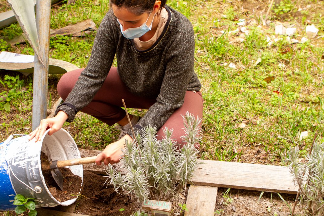 Transferir produto resultante da compostagem e integrar na terra