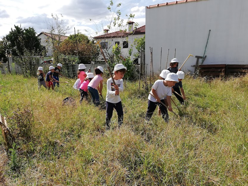 1- Preparação do terreno, Arrancar ervas.