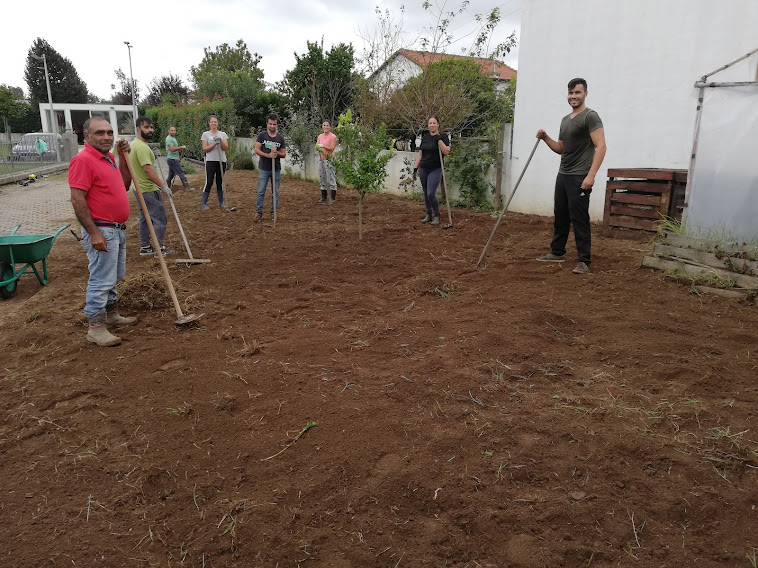 2- Limpeza e preparação do terreno pelas famílias.