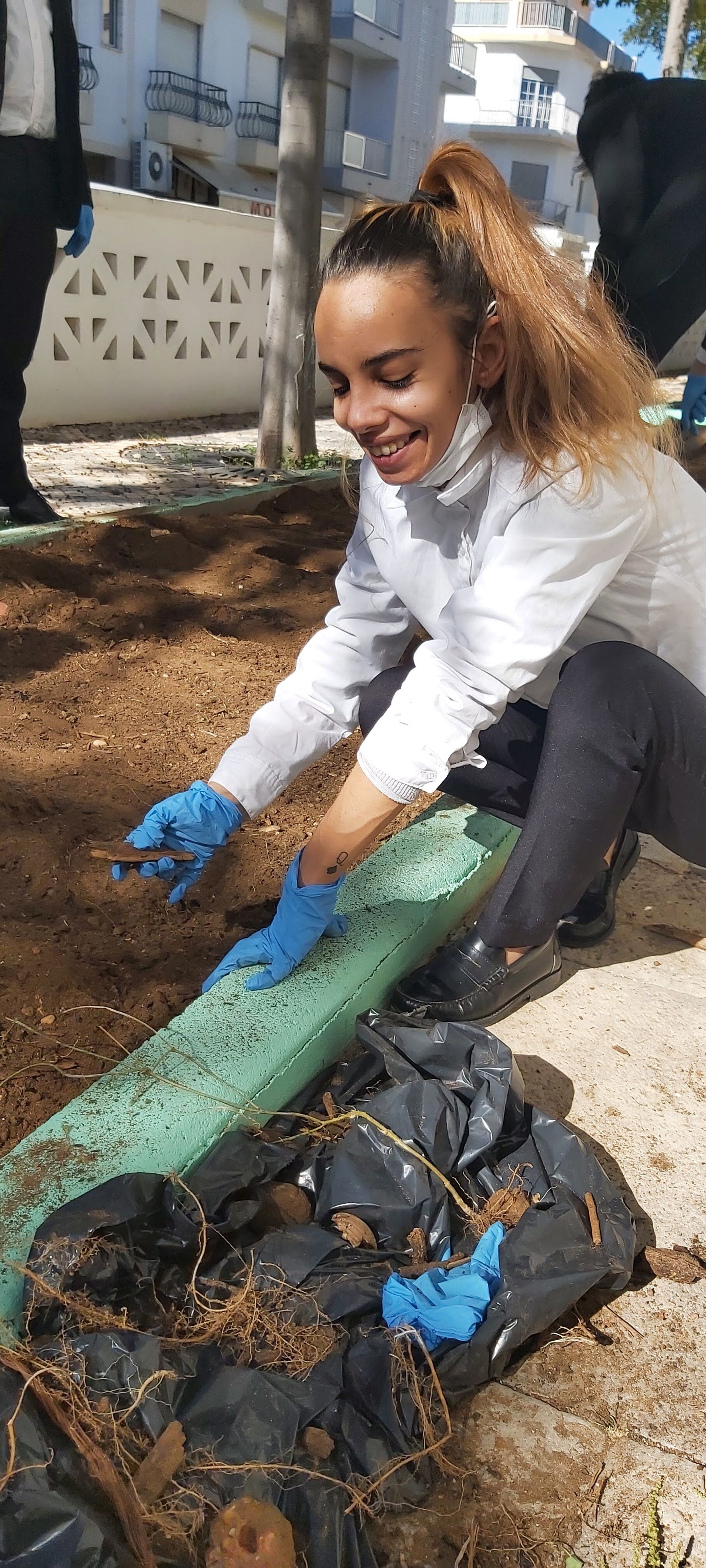 Remoção de pedras e preparação do terreno