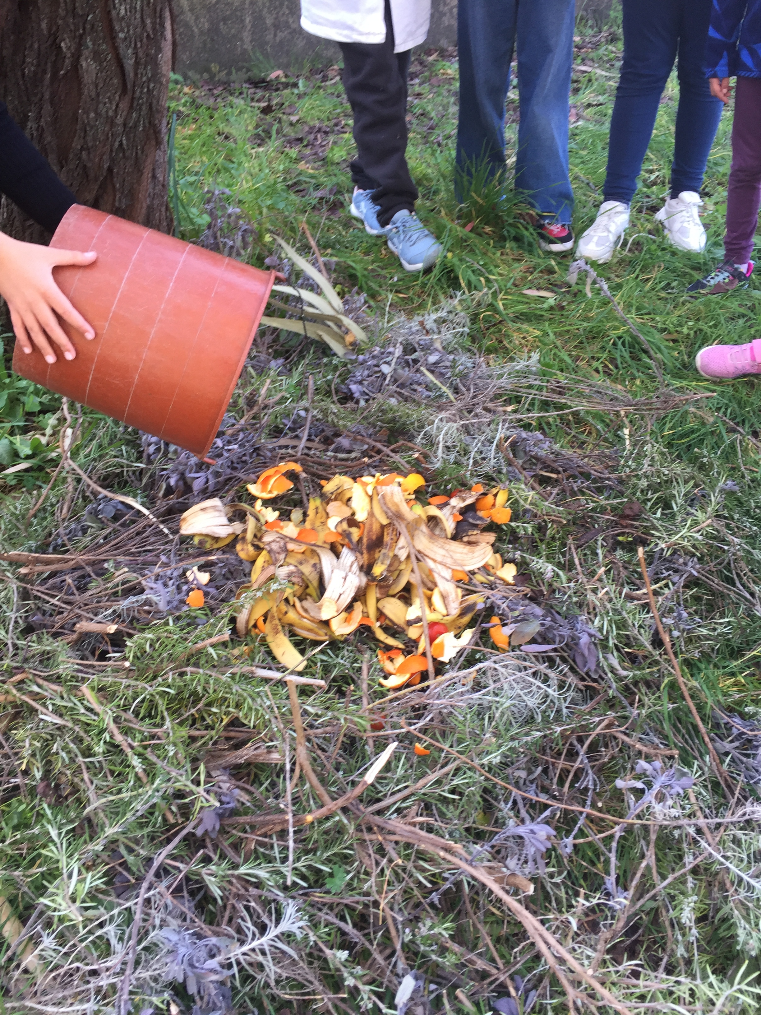 Montagem de nova pilha de compostagem (janeiro)
Iniciou-se nova pilha de compostagem para fertilizações posteriores.