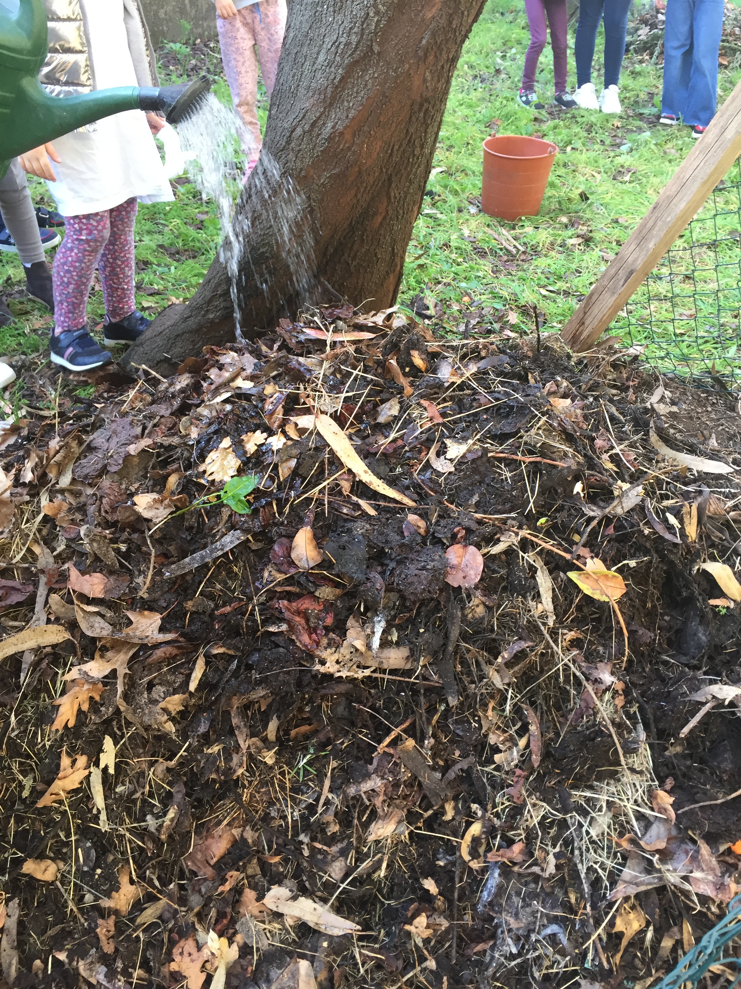 Regar a pilha de compostagem (janeiro)
Regou-se a pilha de compostagem, pois estava um pouco seca e deixou-se a maturar para a fertilização do solo da horta na primavera.