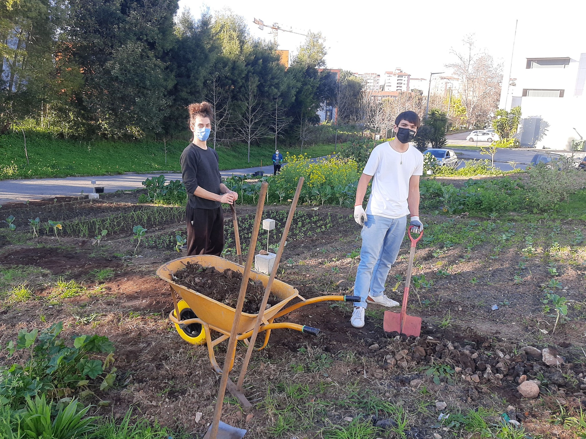 Envolvimento de alunos na horta: limpezas e corte de urtigas para o chorume de urtigas
https://www.facebook.com/ecocampusisec/posts/300162845486567