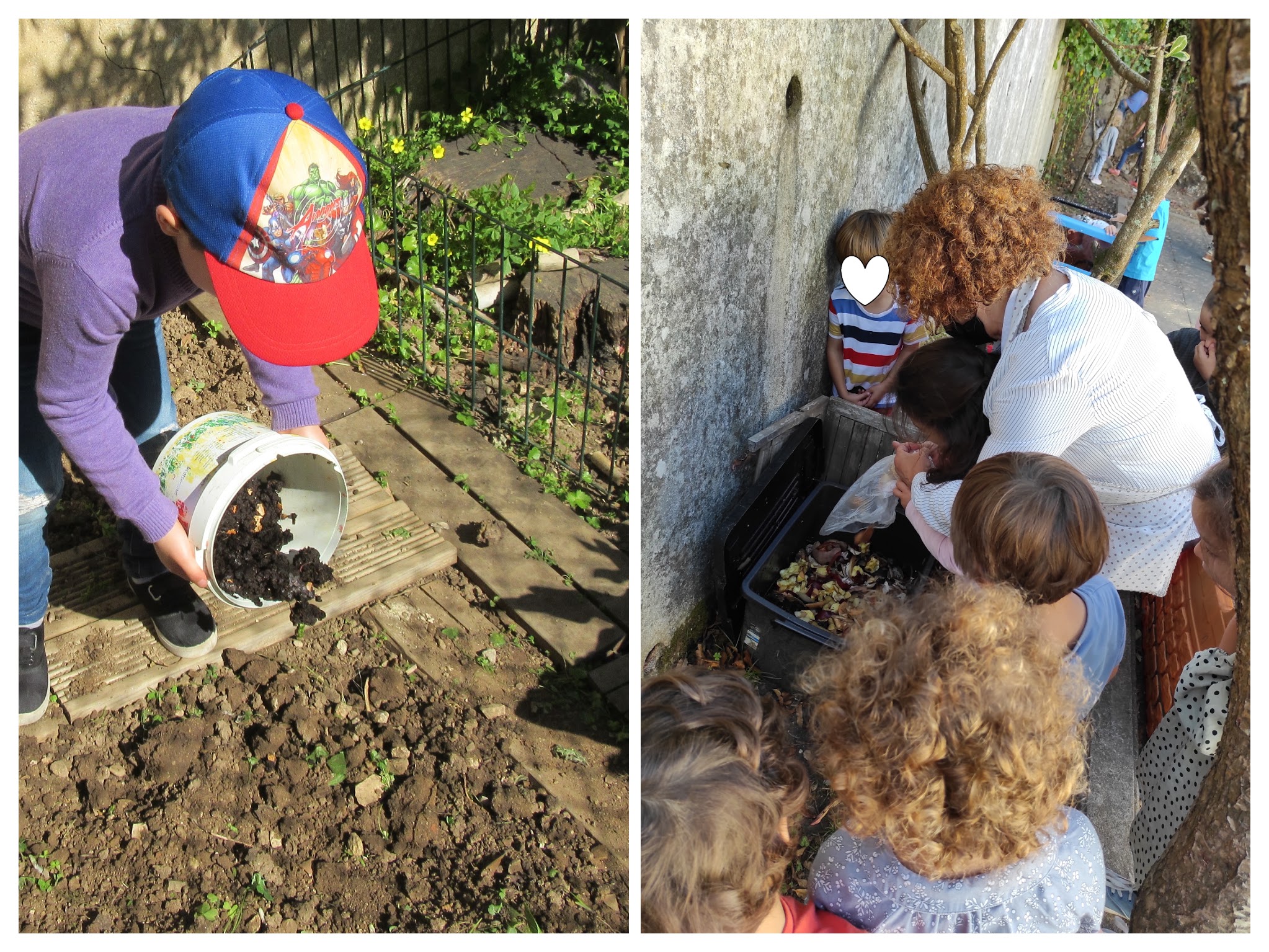 Preparação do composto e utilização na fertilização da horta