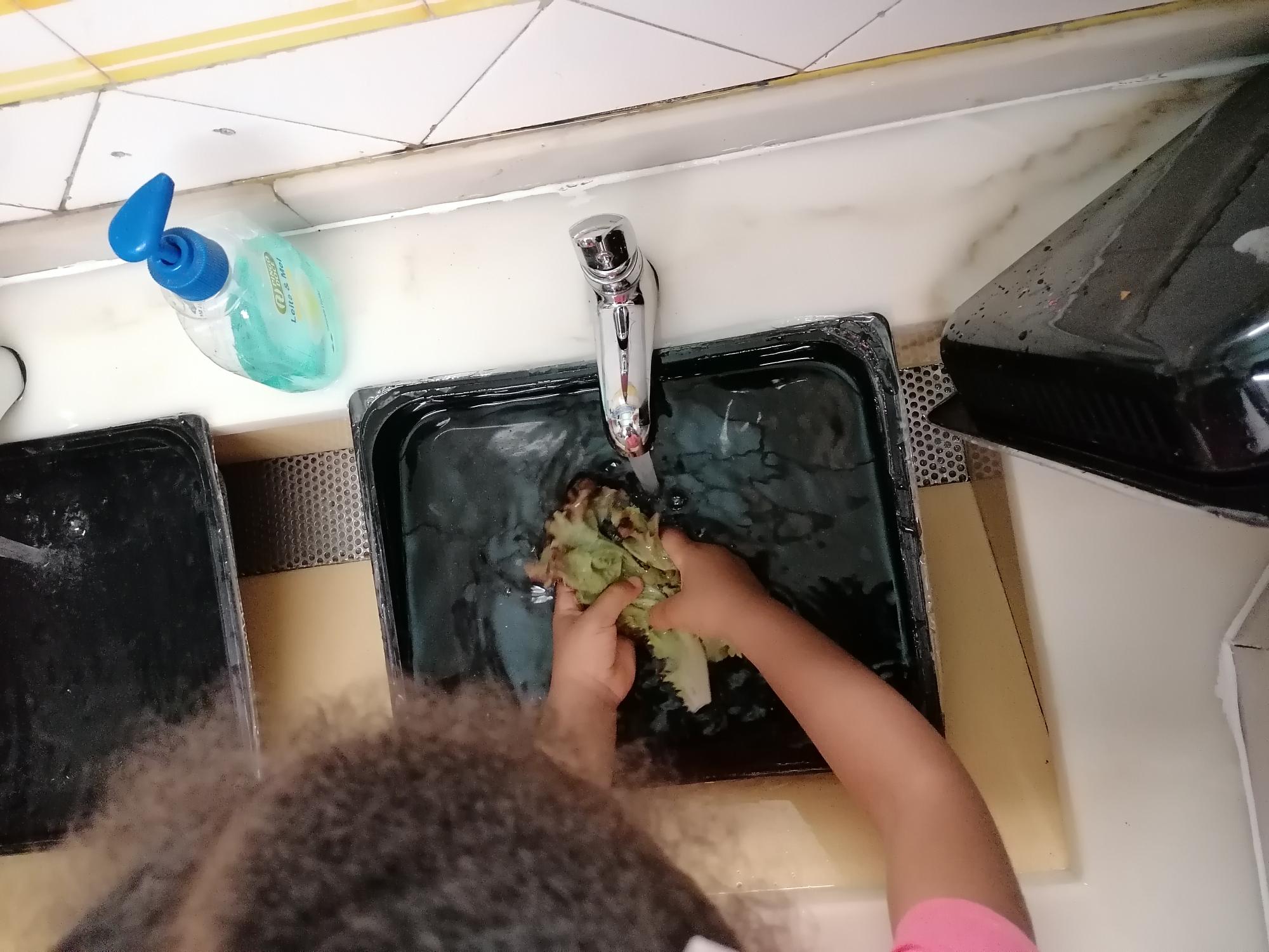 Lavagem e preparação das alfaces para a salada.