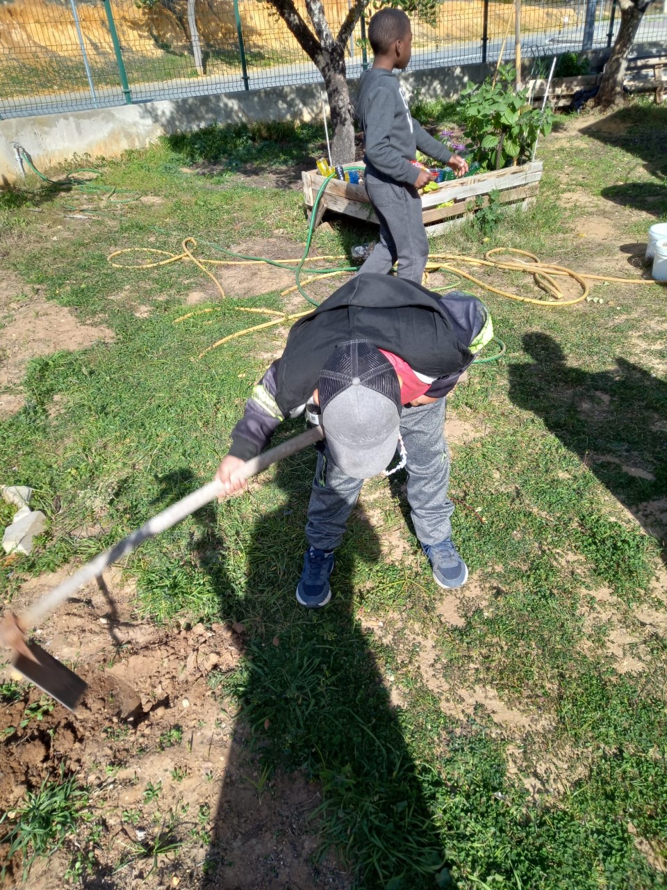 Preparação do terreno.