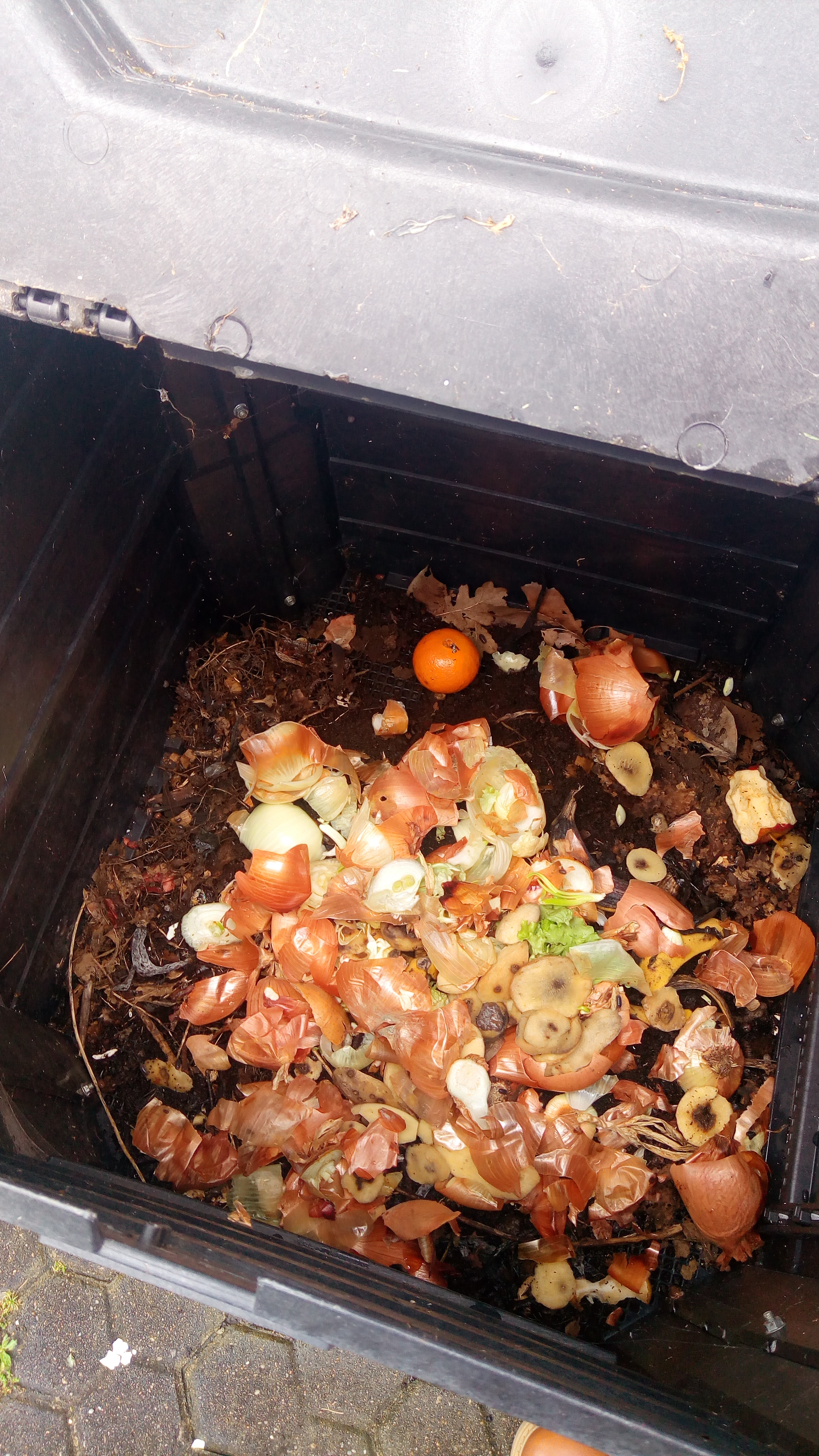 Compostagem.