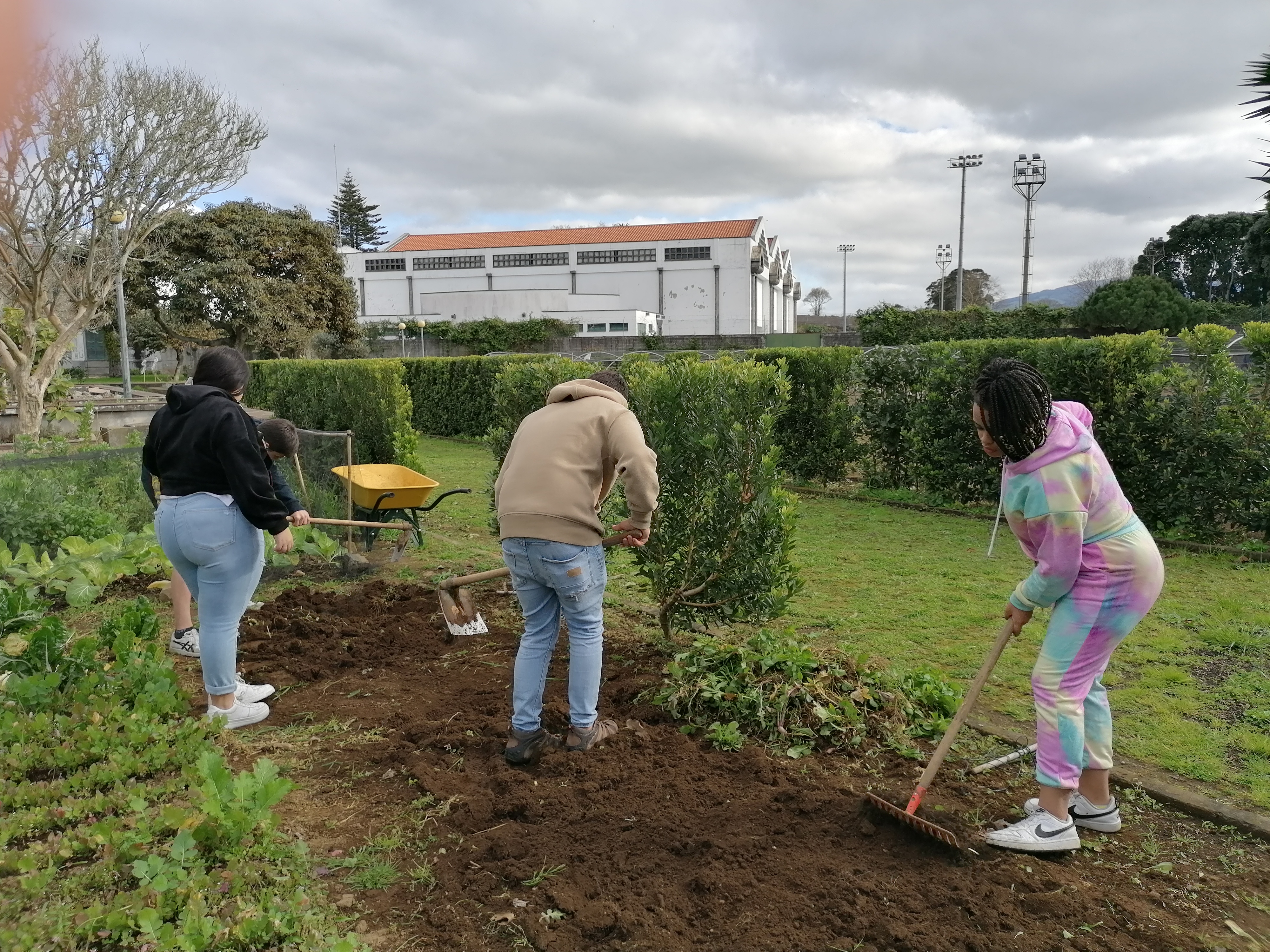 Preparação do terreno para plantação de alfaces.