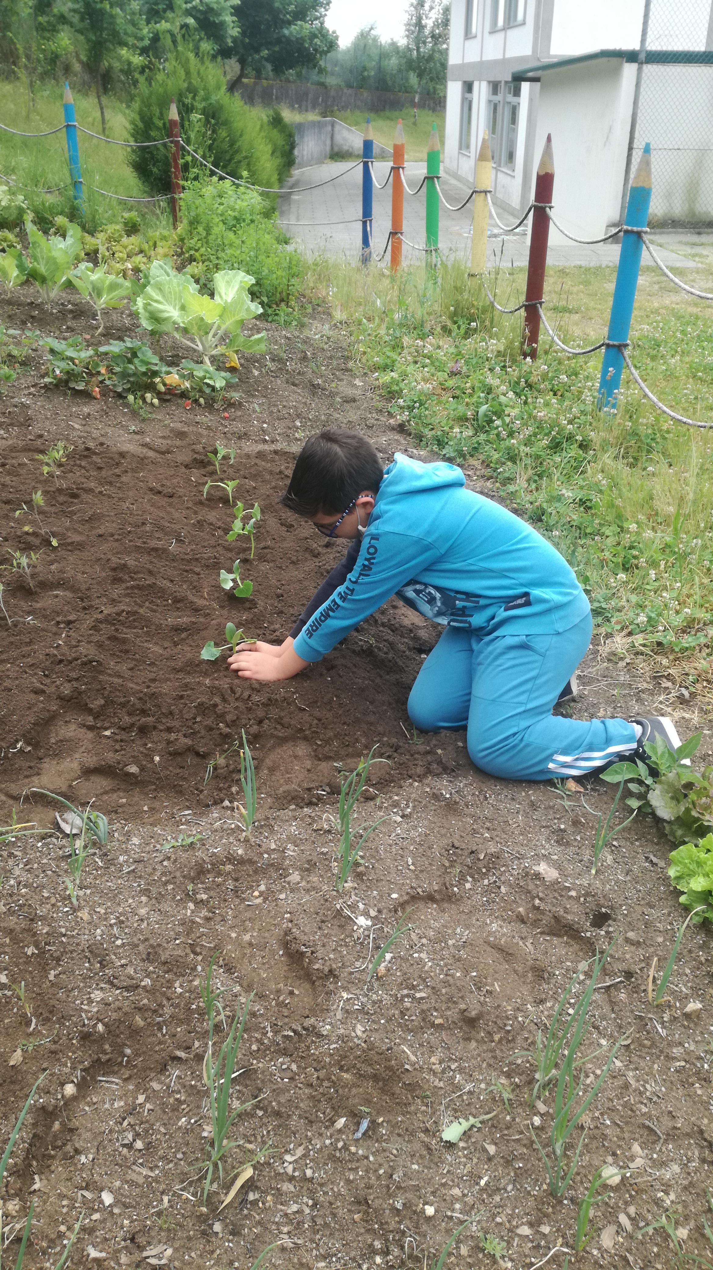 Alunos a plantar na horta.