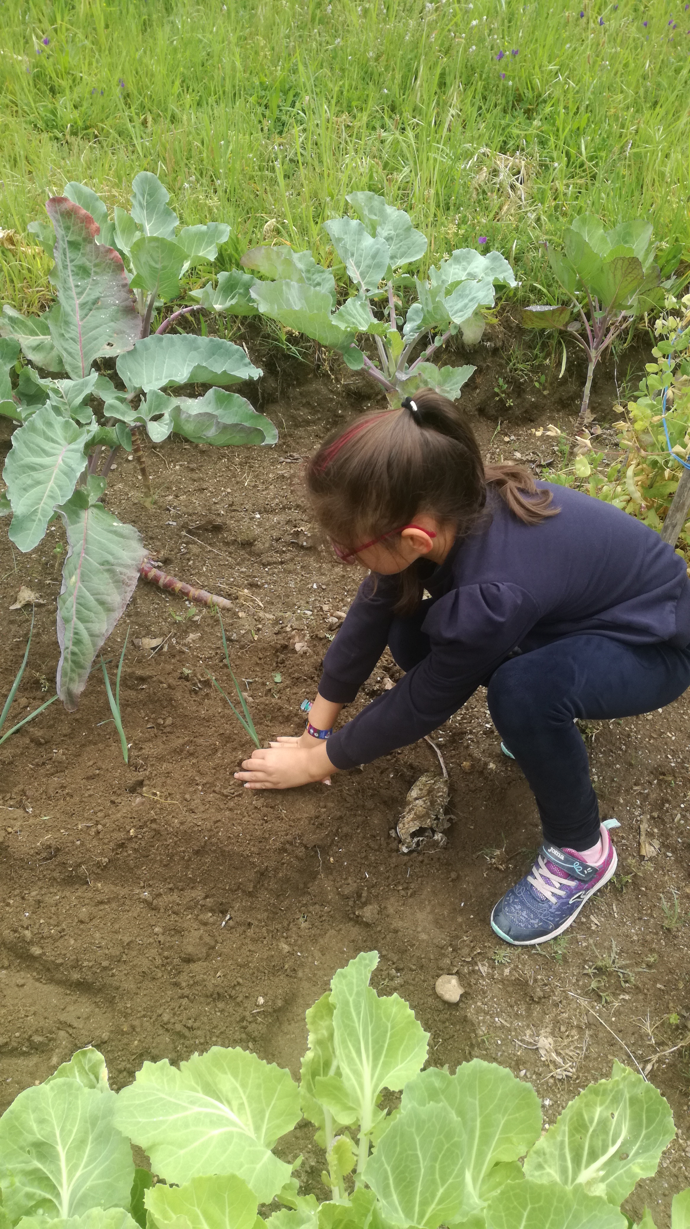 Alunos a plantar na horta.