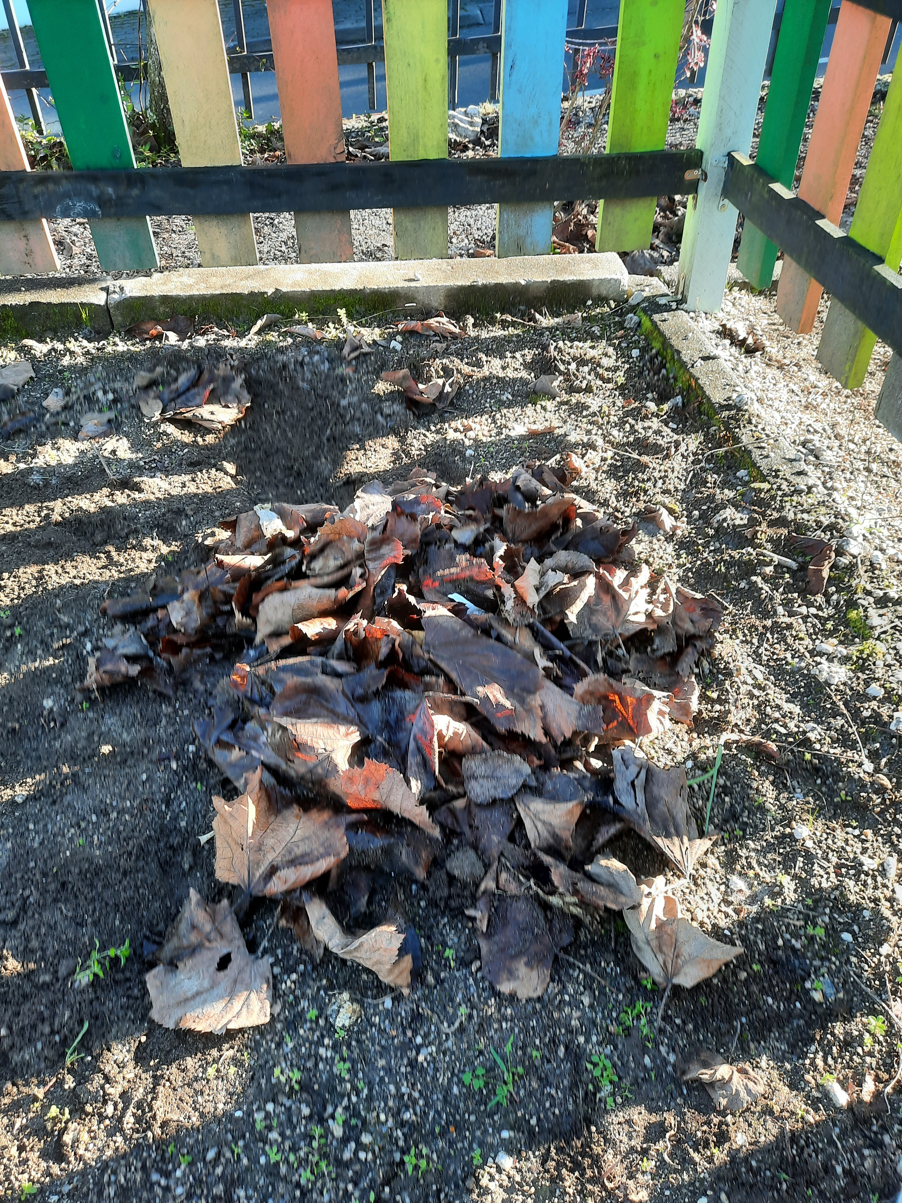 Monte de folhas secas recolhidas para ajudar na fertilização da terra.