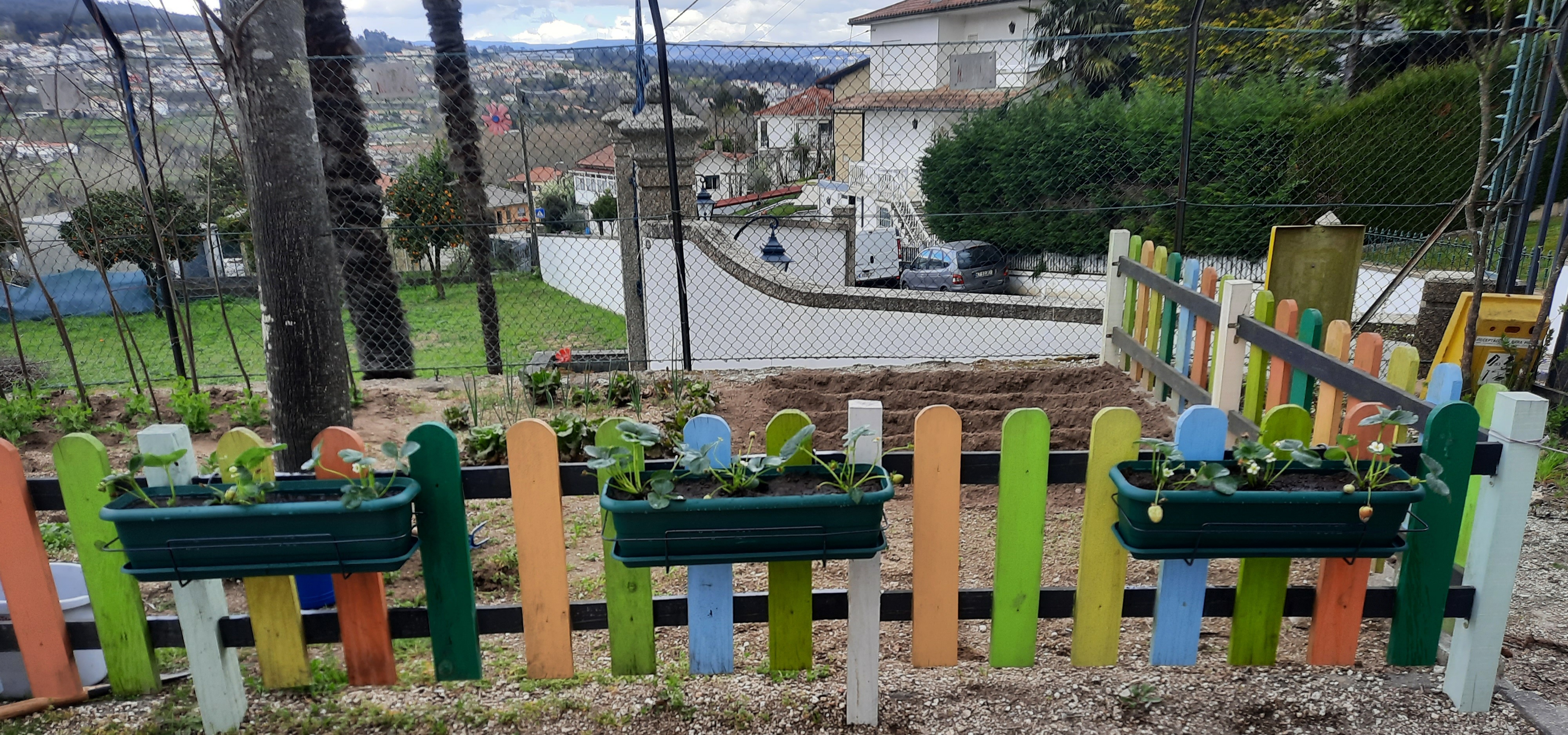 Vista Geral da Horta Bio, com destaque para o cultivo de morangueiros em floreiras.