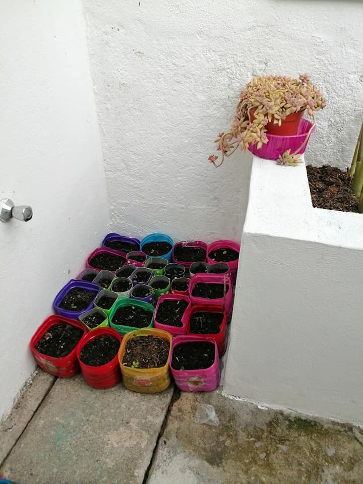 Está tudo pronto para receber novas sementes e plantas.