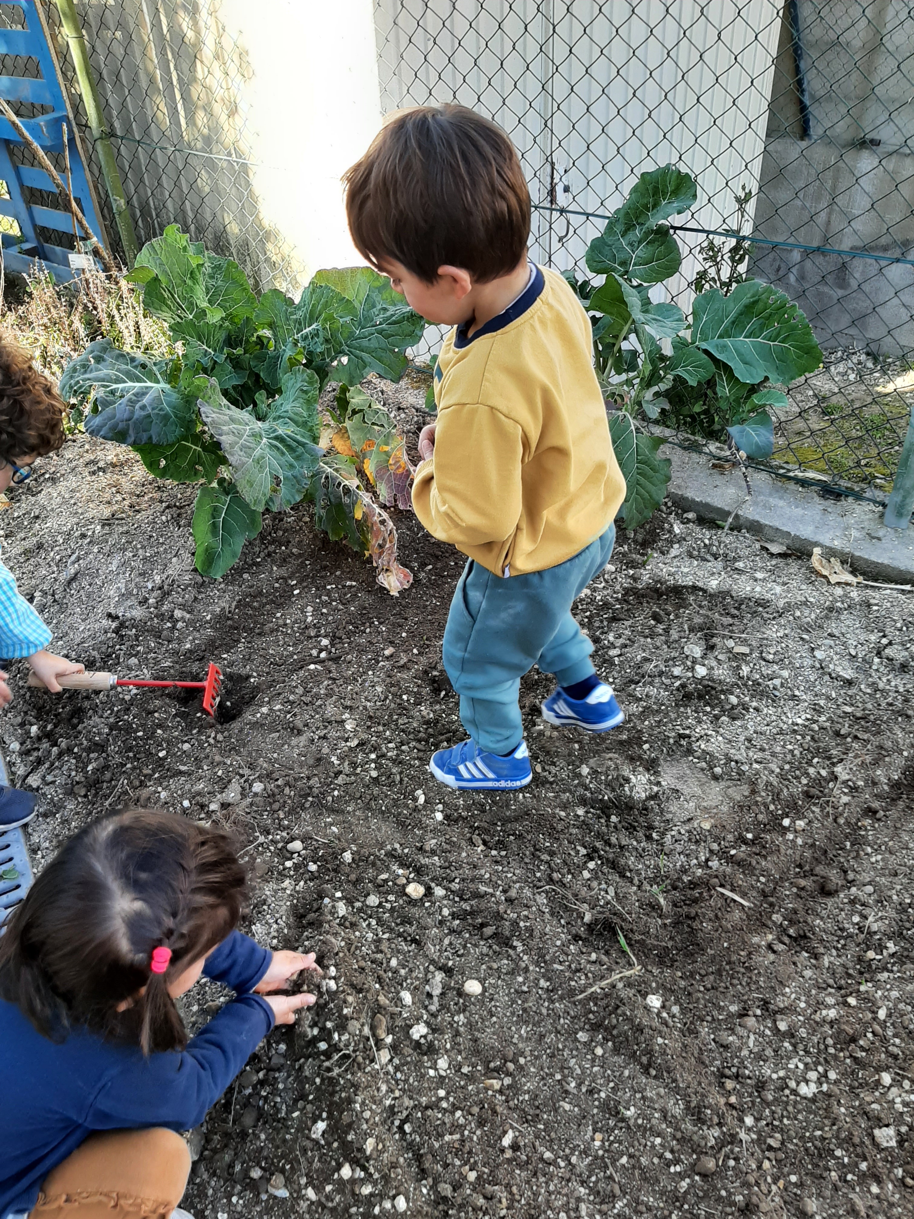 Preparar a terra para plantar e semear.
