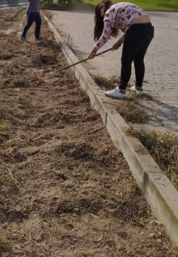 A preparar o terreno para a horta