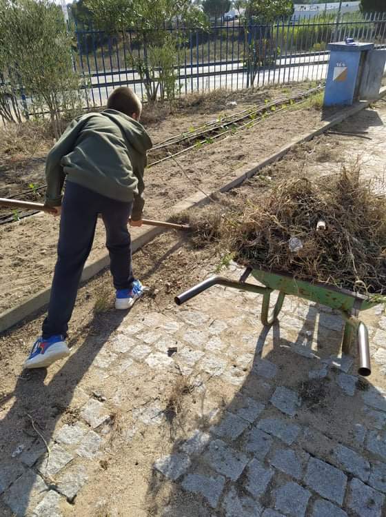Já sem ervas, está quase pronto para as plantações