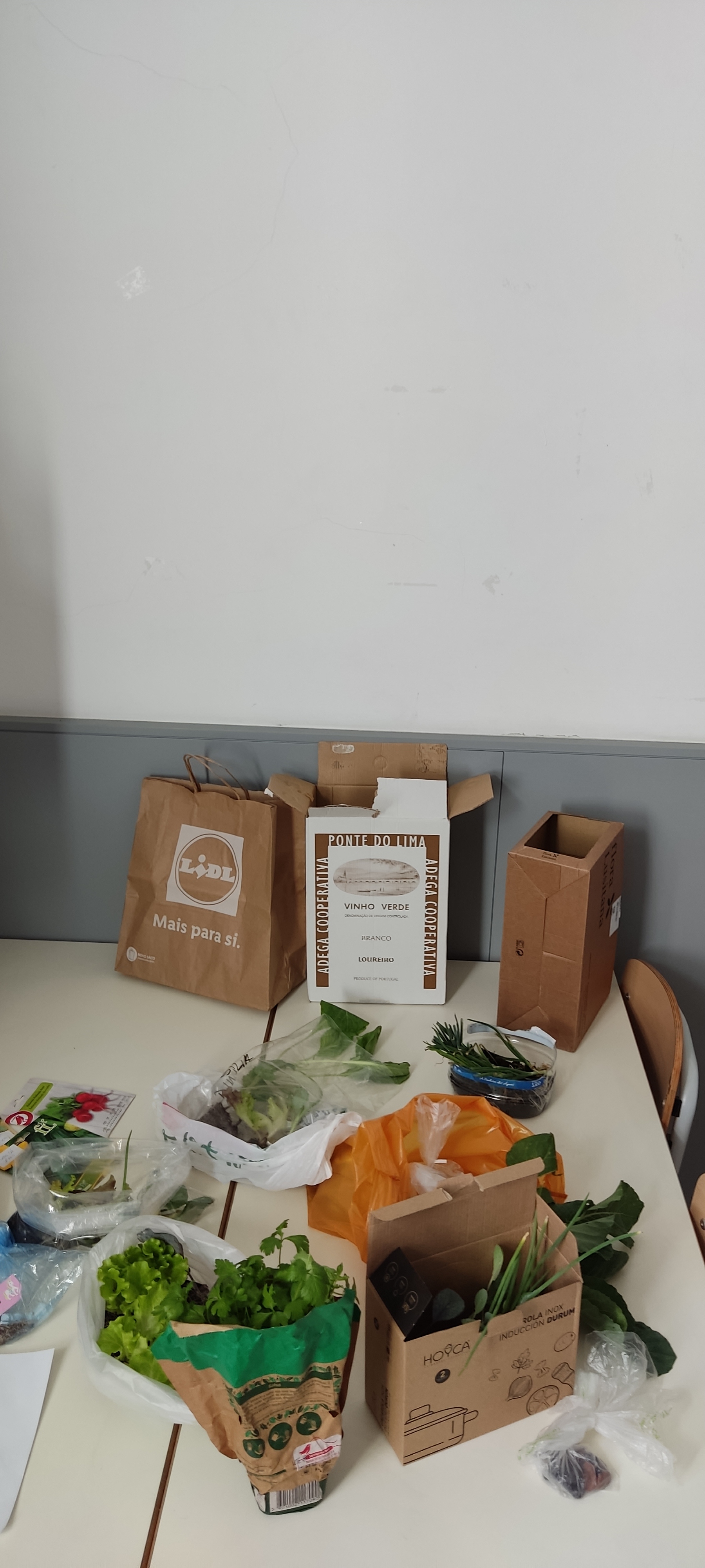 Início do cultivo da horta da escola - recolha de produtos/ sementes a cultivar