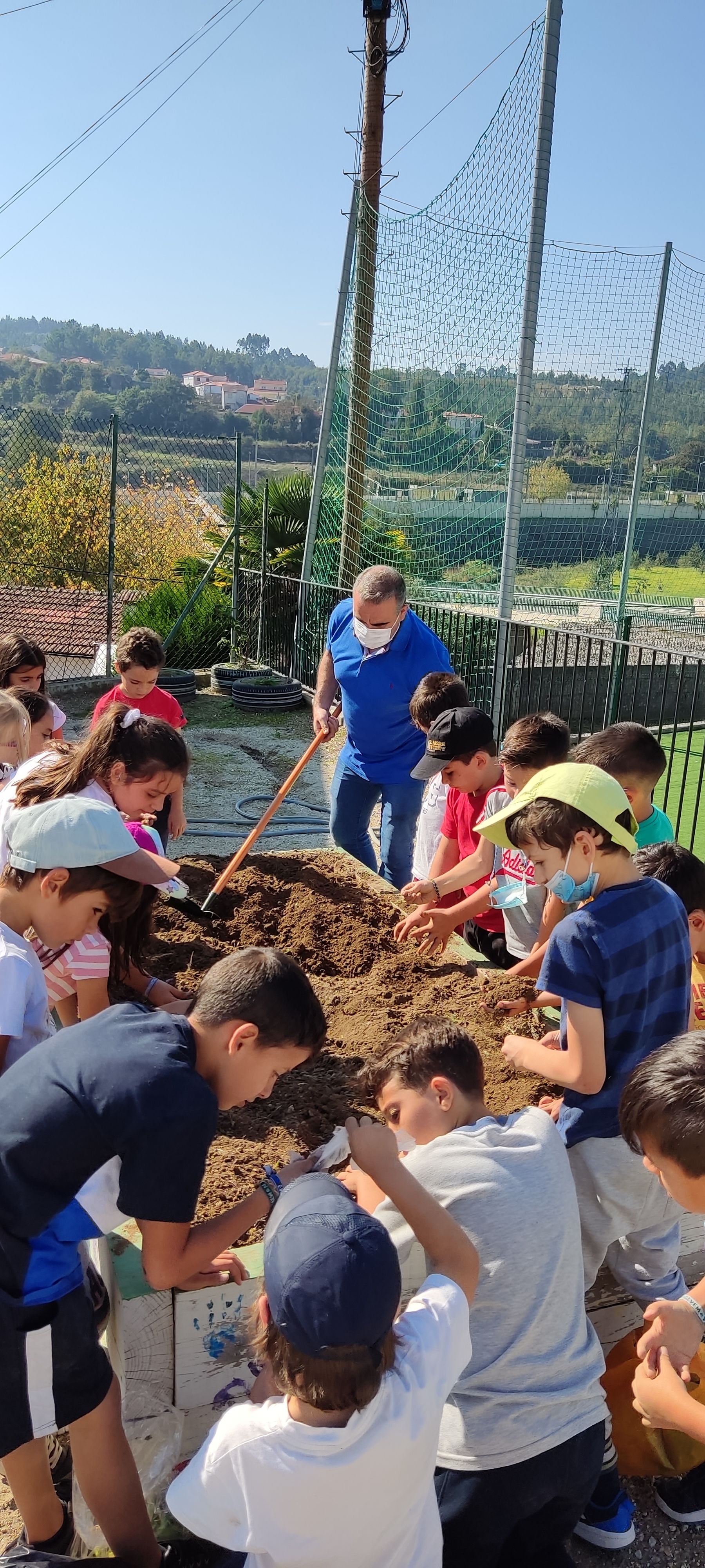 Início do cultivo da horta da escola - plantação 1