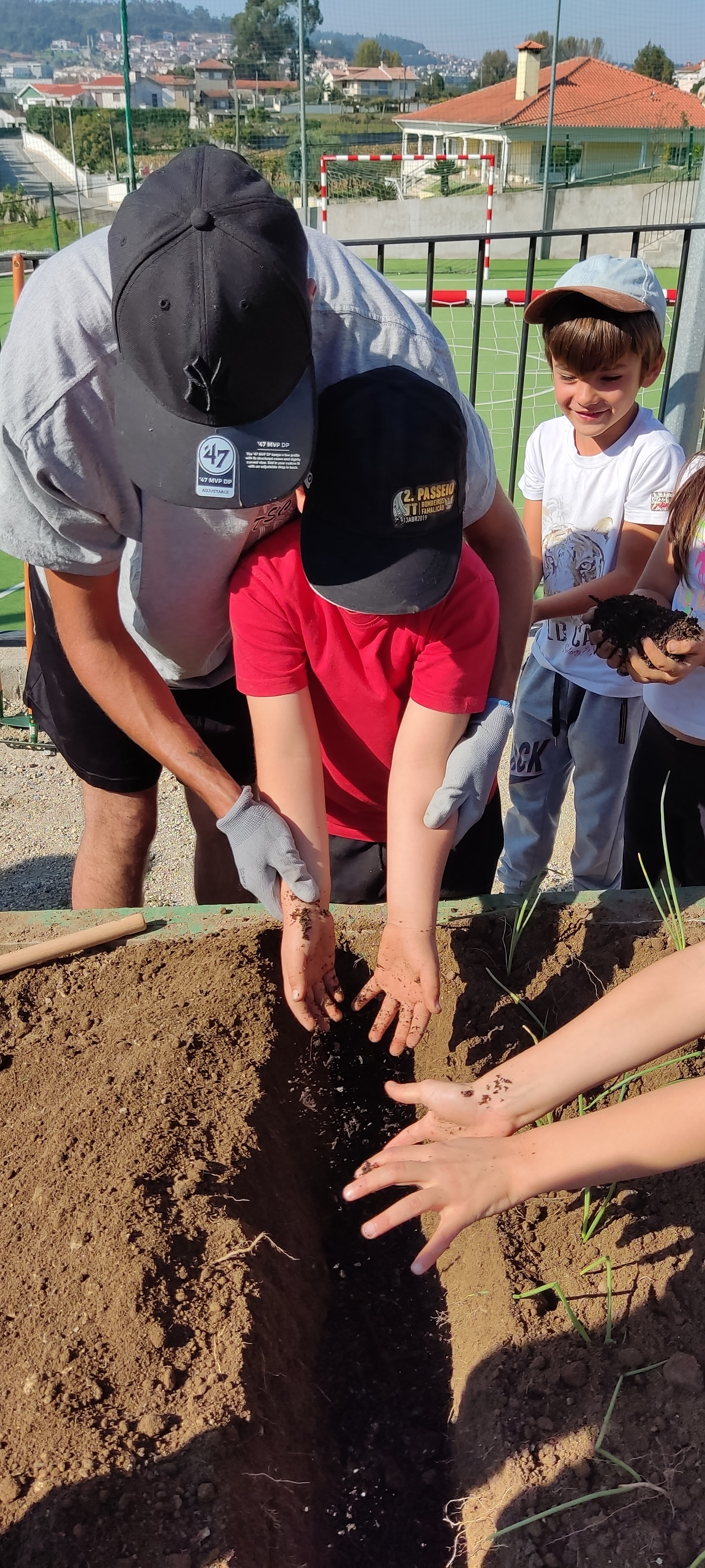 Início do cultivo da horta da escola - plantação 2