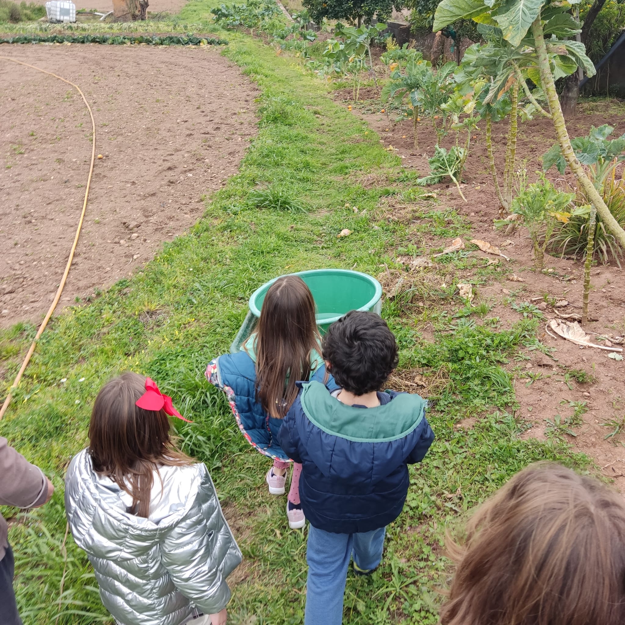 Recolha dos últimos produtos da horta para consumo.
Posterior limpeza e preparação do terreno para as novas plantações. 
Colaboração/ aprendizagem das crianças com a equipa da horta.