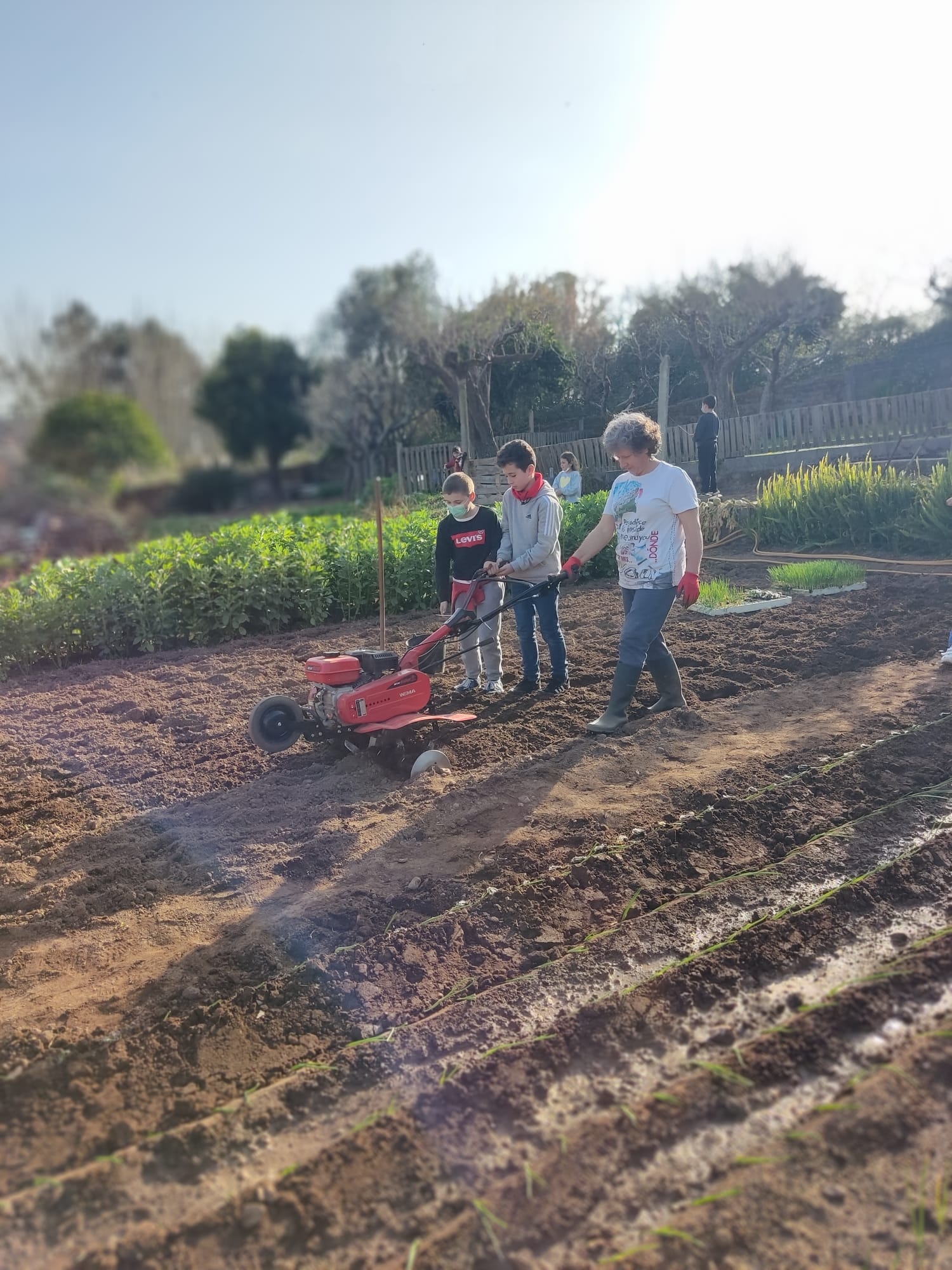 Preparação do terreno
