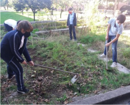 Limpeza de horta dos sobrantes da plantação anterior.