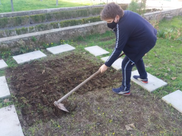 Preparação do terreno para novas sementeiras/plantações.