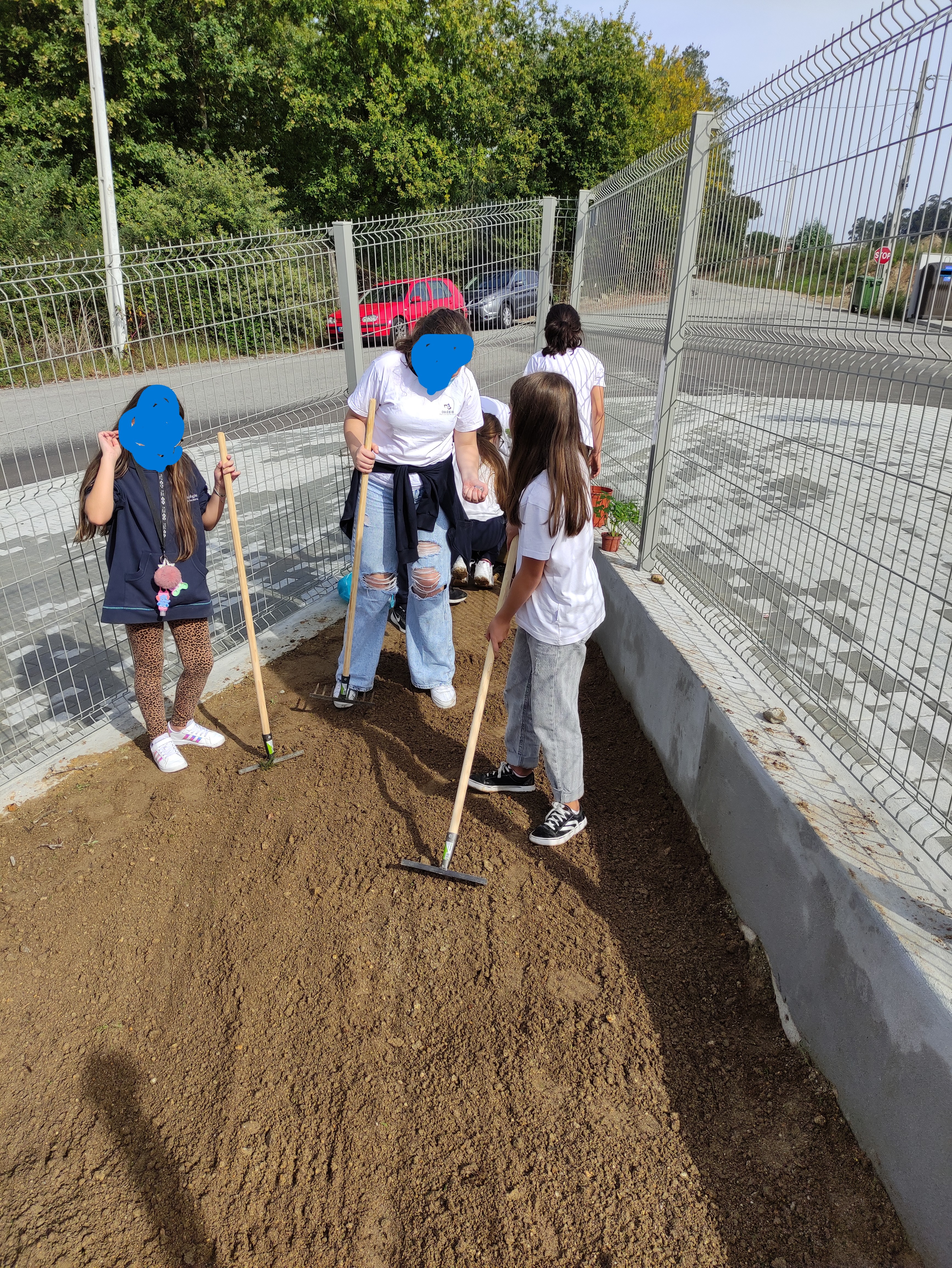 mobilização do terreno