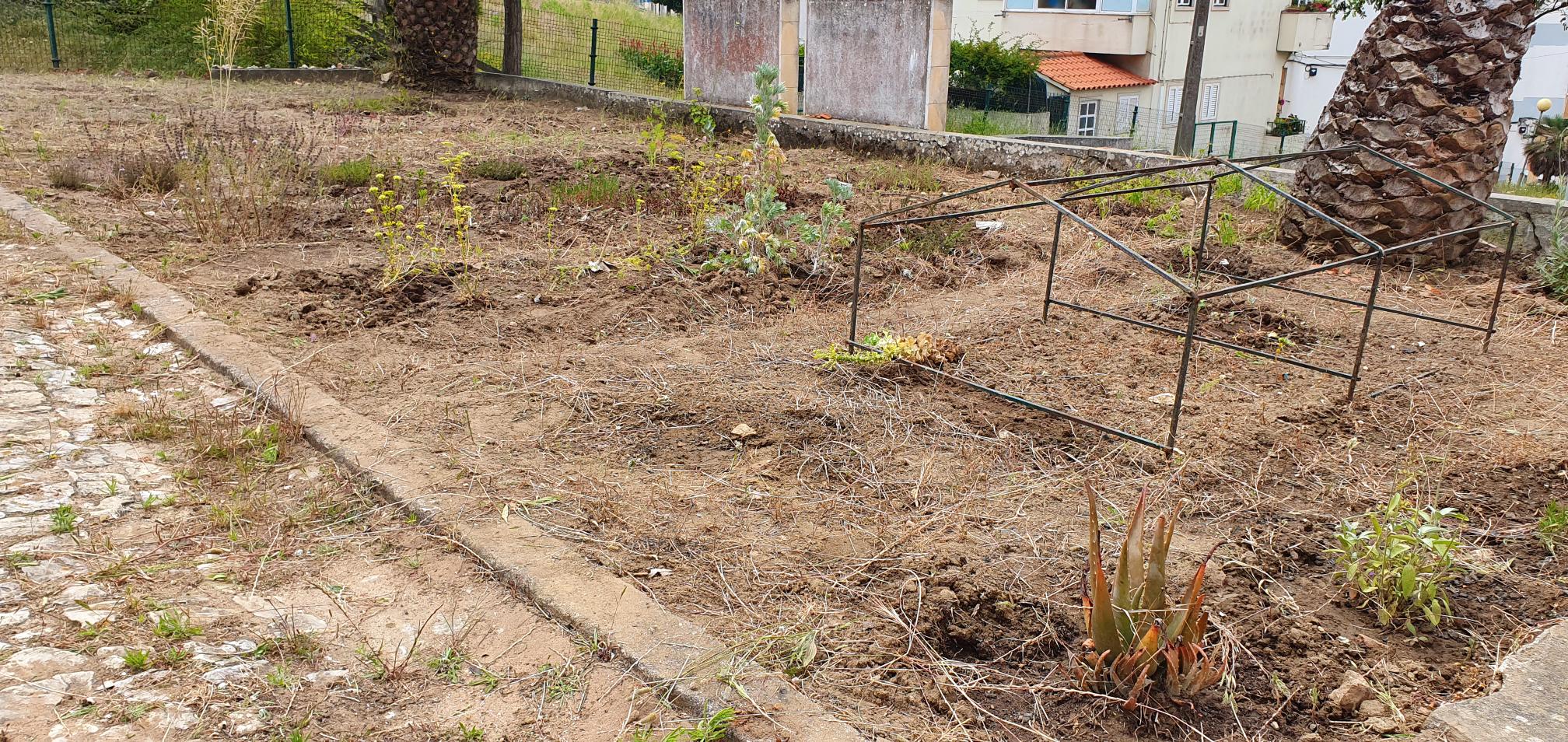 Limpeza de terreno.