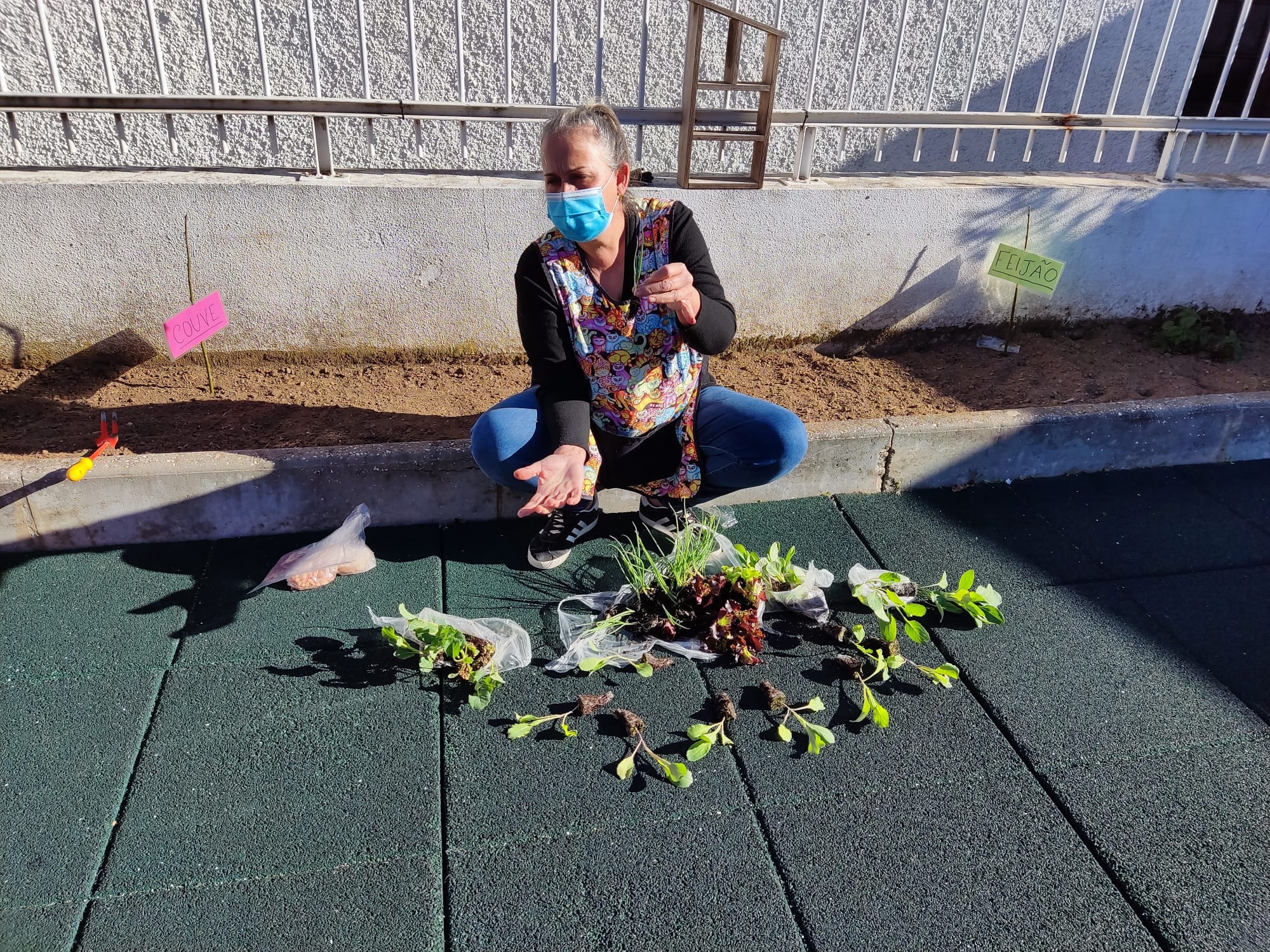 O que vamos plantar
Os alunos observam as plantas para a horta