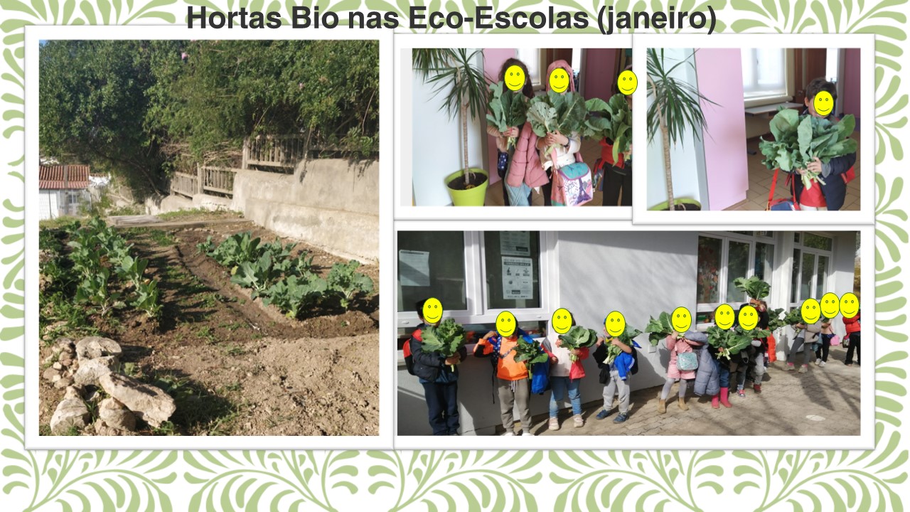 Hortas Bio nas Eco-Escolas (janeiro)