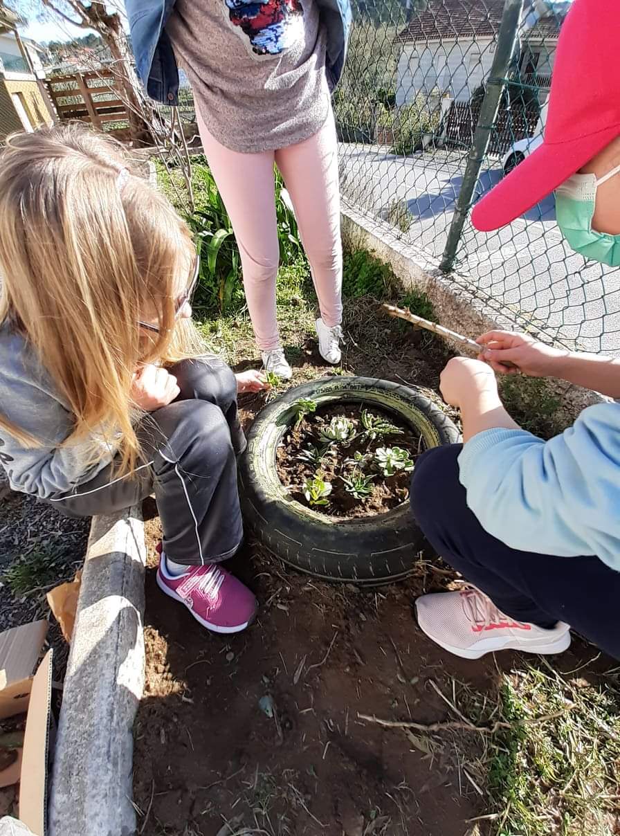 Os alunos plantando suculentas que trouxeram de casa.