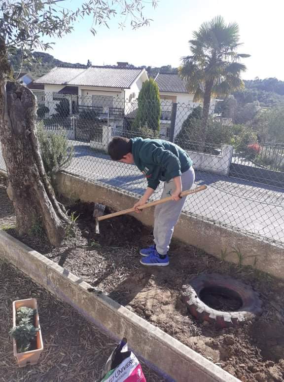 Os alunos a tratarem do solo para a sementeira:cavar.