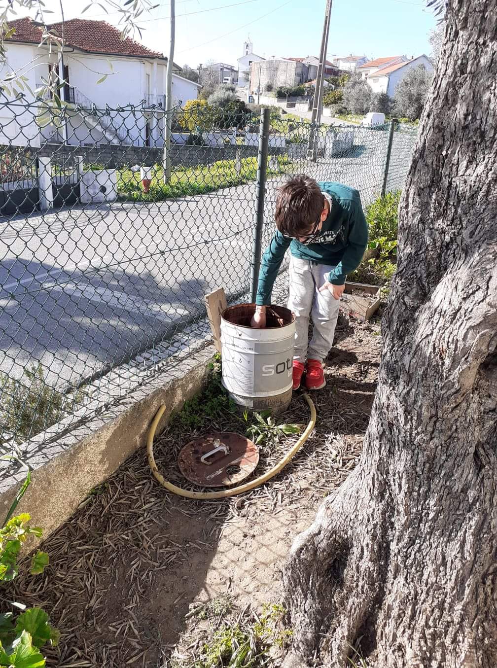 Os alunos a colocarem a compostagem no solo para fertilizar.