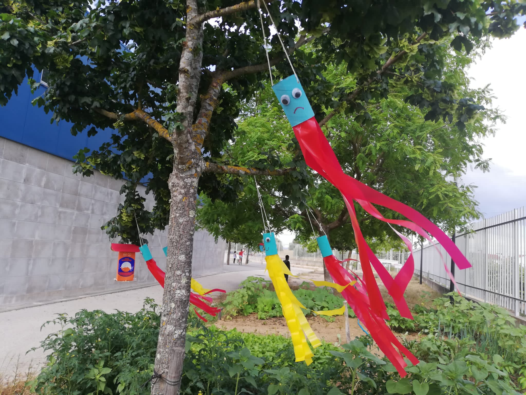 As crianças fizeram espanta pardais e foram colocados na horta.