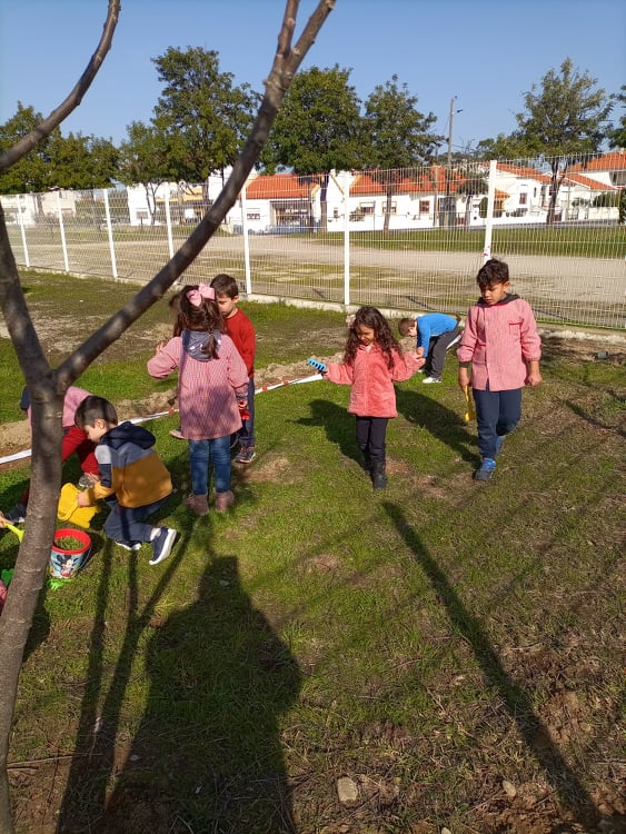 Primeiros passos na horta