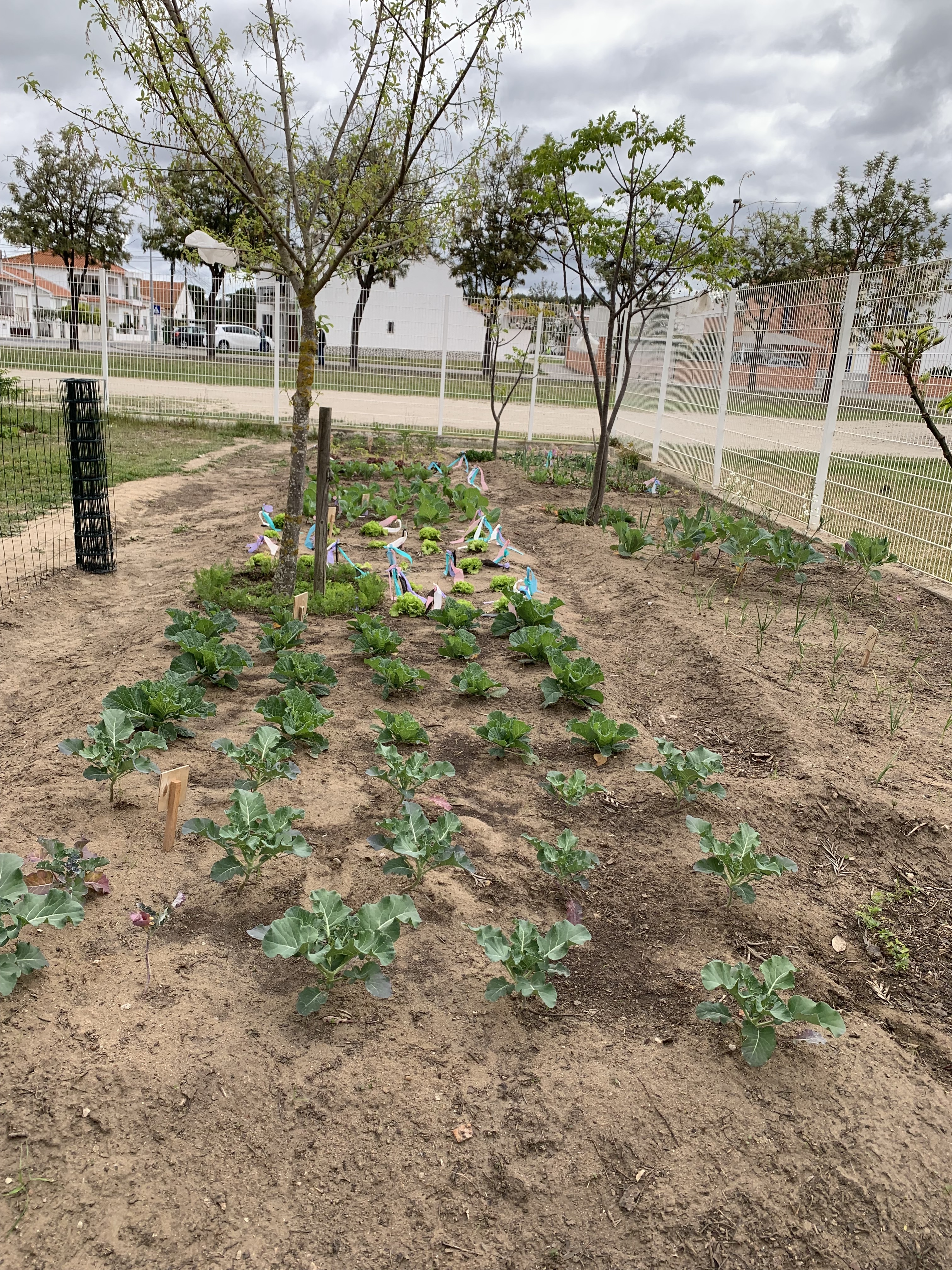 A nossa horta em fim de março