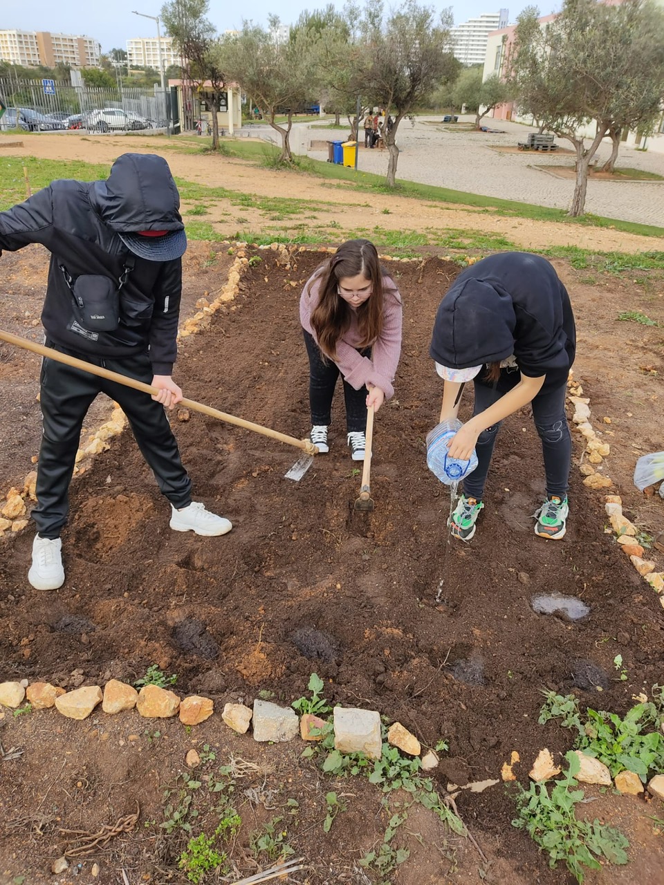 Preparação do terreno para as primeiras plantações.