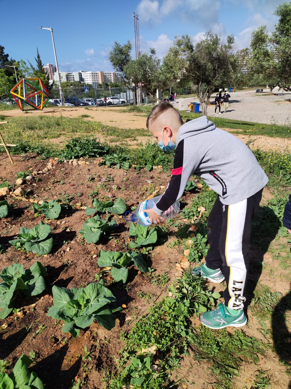 Cuidando da horta.